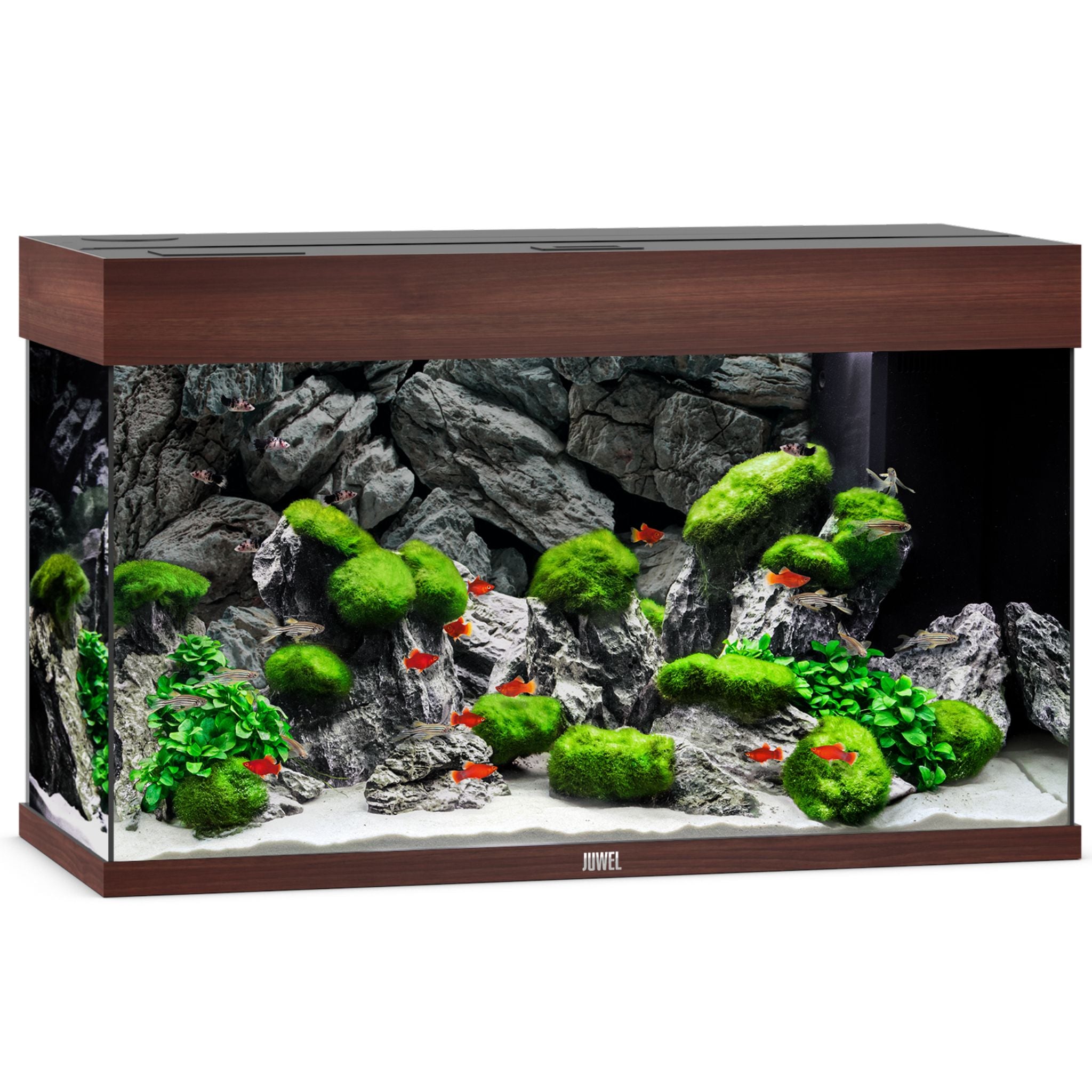 Juwel RIO 125L aquarium with dark wood trim, aquascaped with rock, moss and red fish