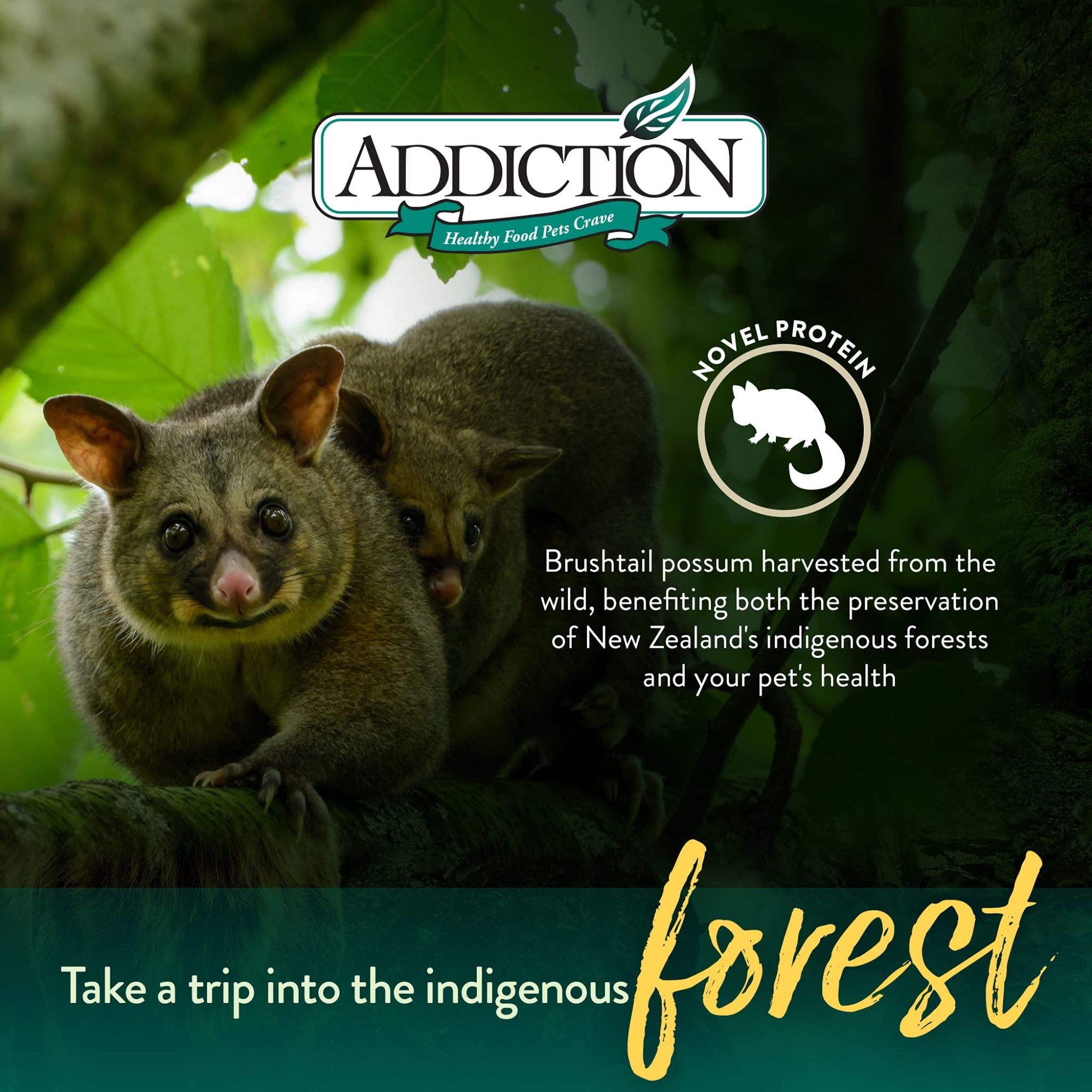 ADDICTION Perfect Summer Brushtail Raw Alternative Dog Food