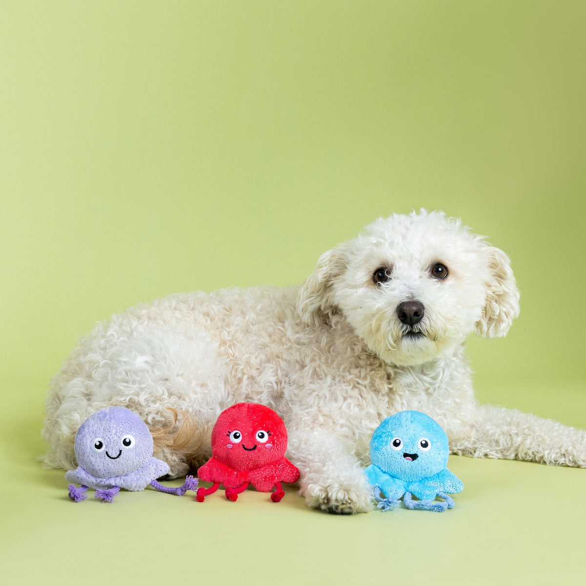 Fringe Studio Plush Dog Toy Set - Too Tentacool — detail