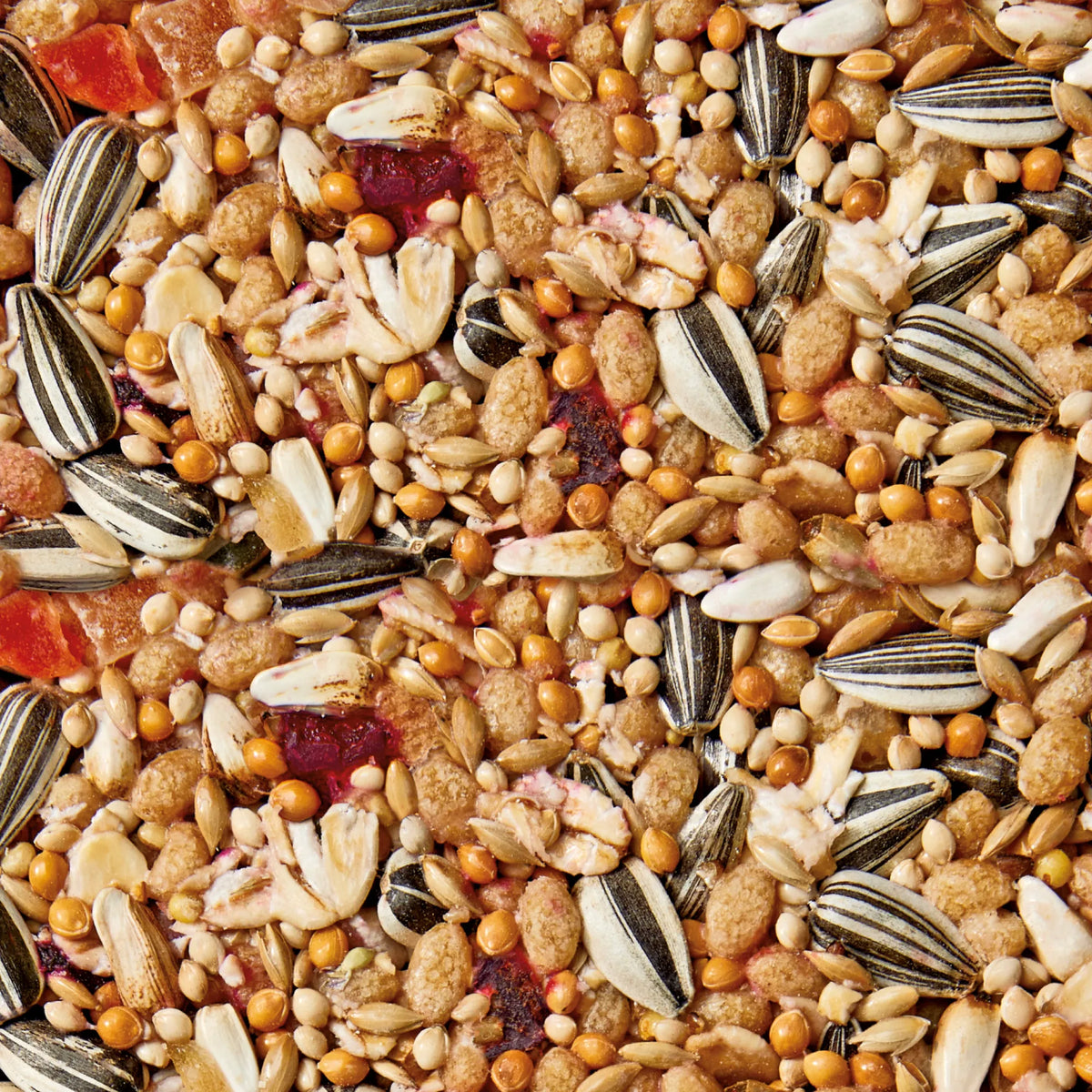 Whistler Parrot Health Bar - close-up of the peanut, apple and banana blend