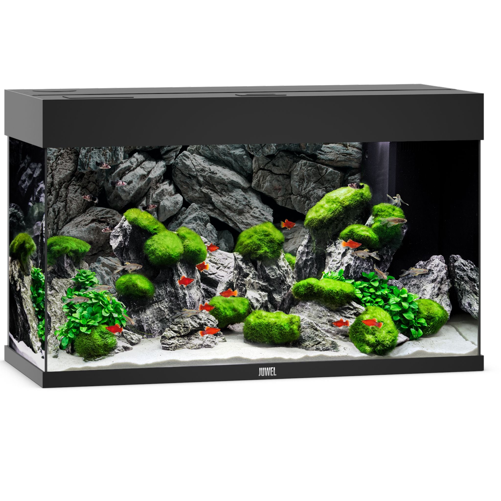 Juwel RIO LED Aquarium 125L