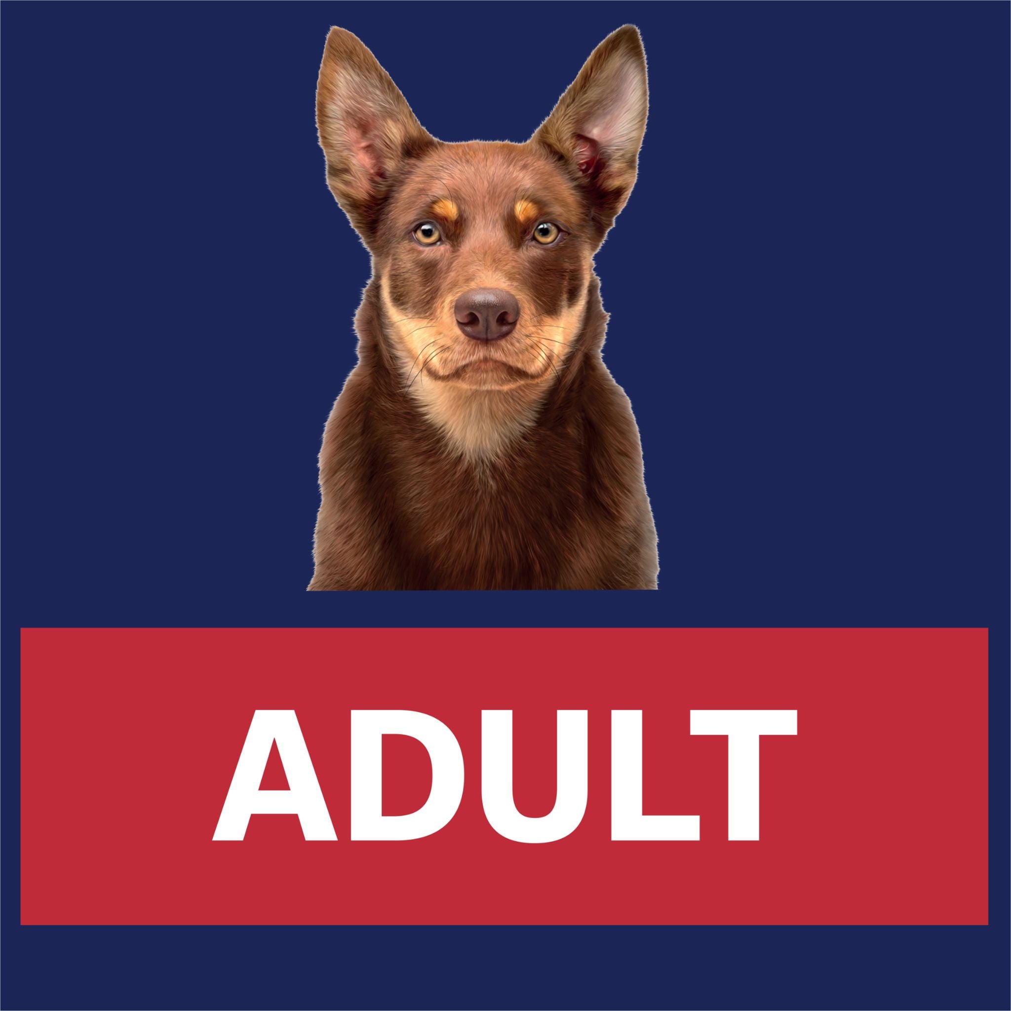 ADVANCE Dry Dog Food Mobility Adult Medium Breed Chicken with Rice