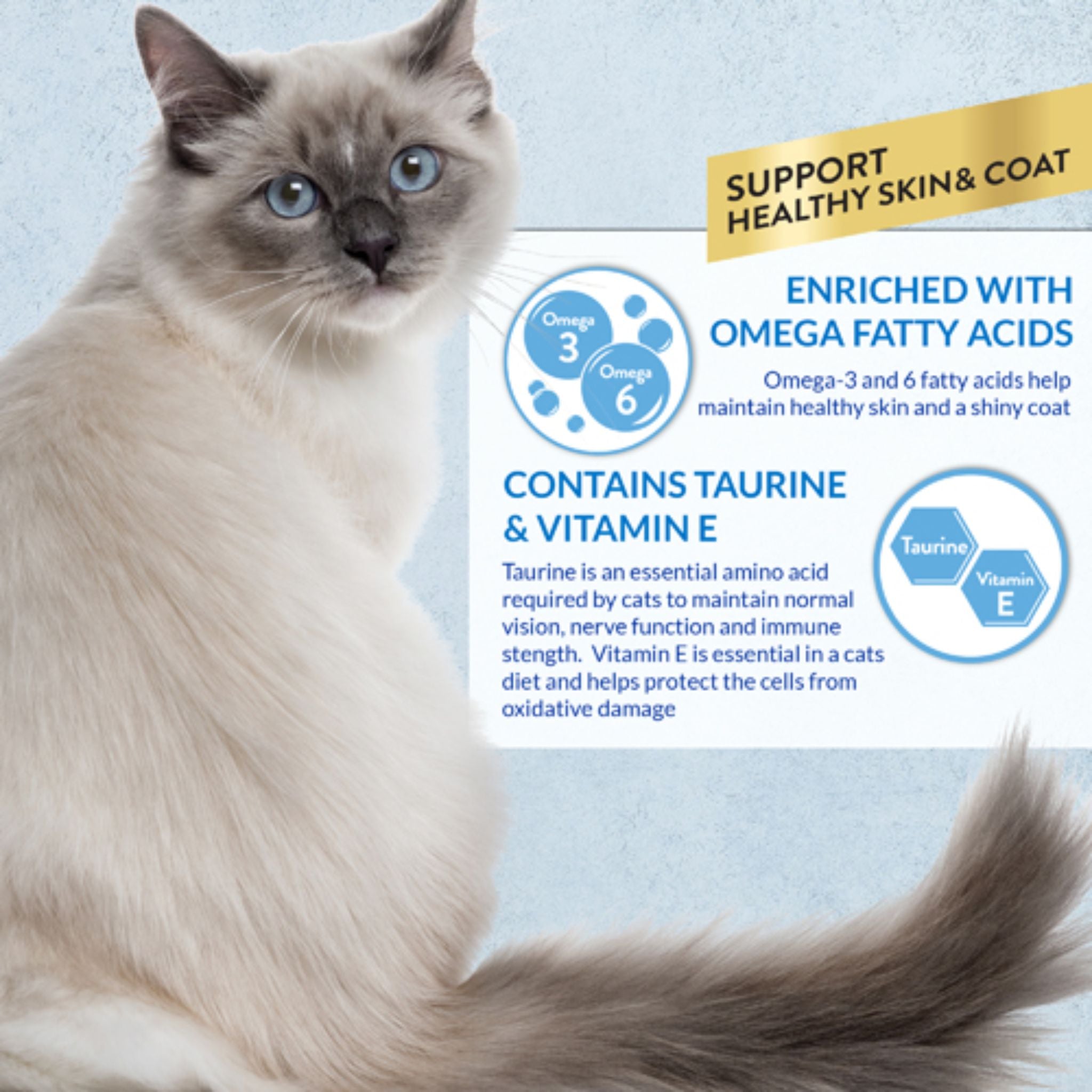 Inaba Cat Treat Churu Puree Skin & Coat Chicken Scallop