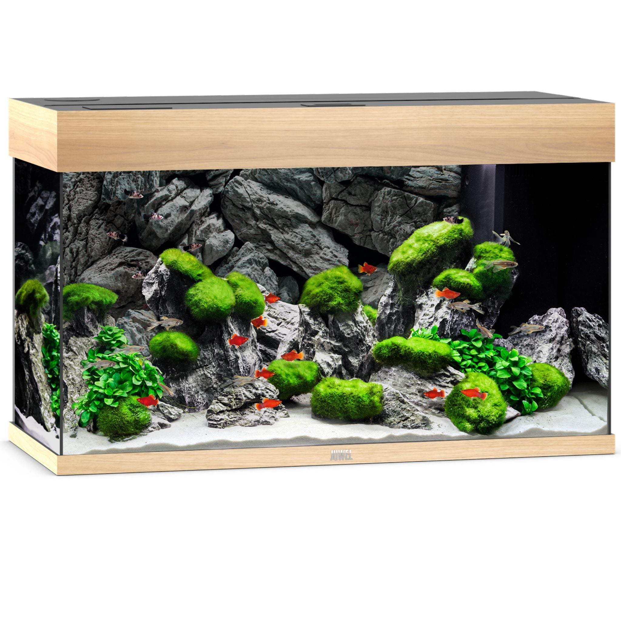 Juwel RIO 125L aquarium with light wood trim, aquascaped with rock, moss and red fish