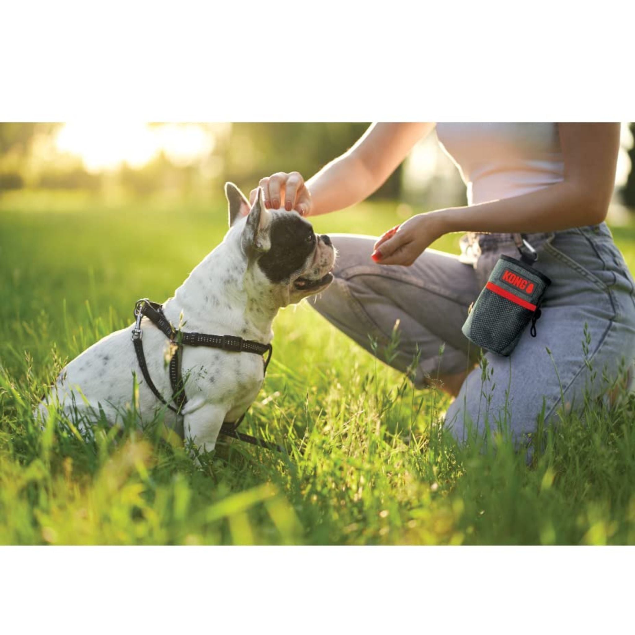 KONG Train and Treat Bag for Dogs