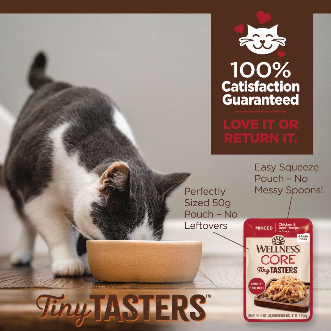 Wellness Core Wet Cat Food Tiny Tasters Minced Chicken & Beef