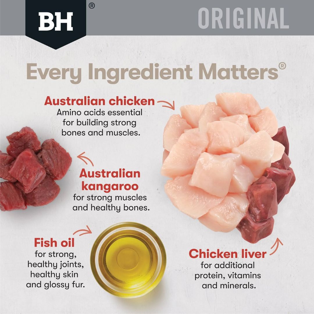 Black Hawk original Adult Dry Cat Food Chicken & Kangaroo | PeekAPaw Pet Supplies