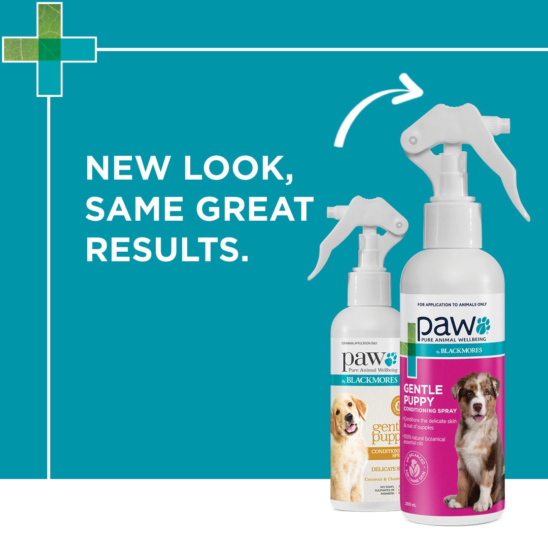PAW by Blackmores Gentle Puppy Conditioning Spray
