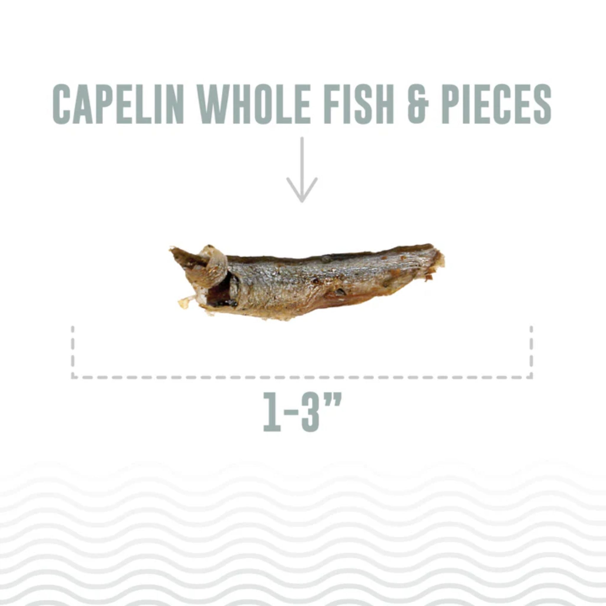Icelandic+ Cat Treats Capelin Whole Fish
