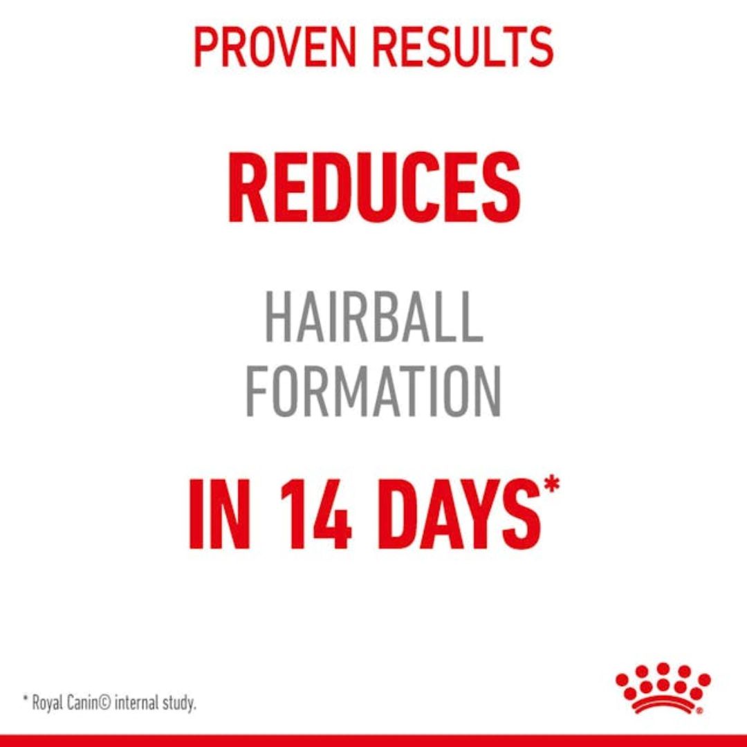 Royal Canin Hairball Care Wet Cat Food in Jelly - 85g x 12 | PeekAPaw Pet Supplies