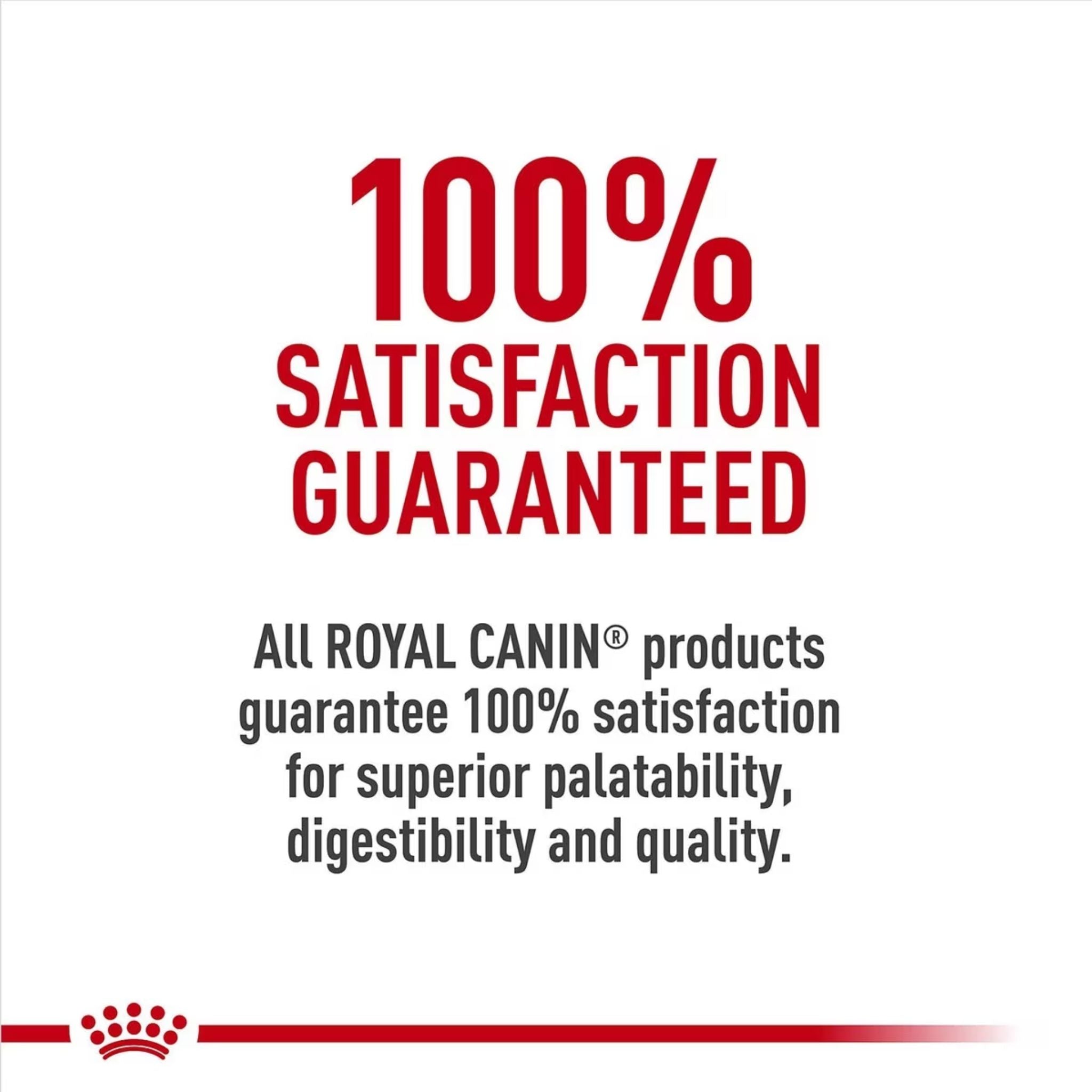 Royal Canin Beagle