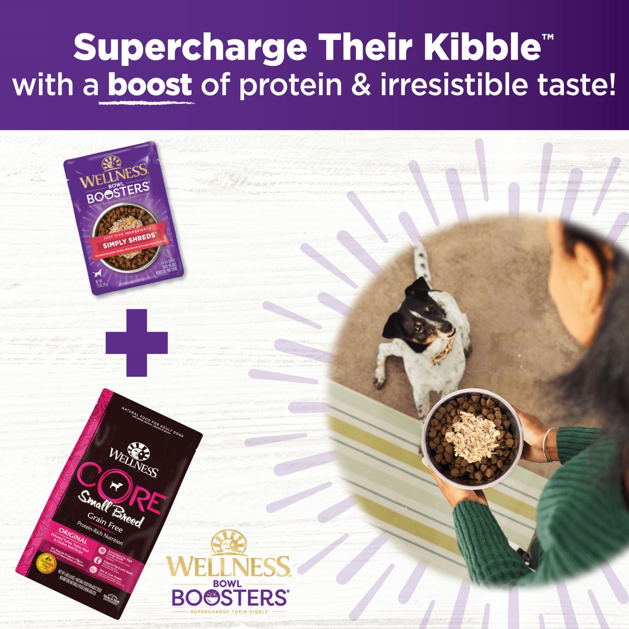 Wellness Core Wet Dog Food Simply Shreds Shredded Boneless Chicken, Wild Salmon & Pumpkin