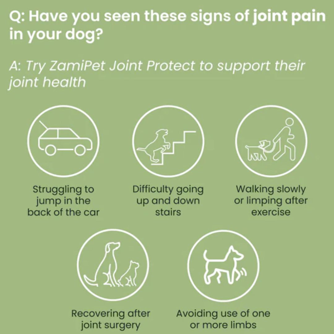 Zamipet Joint Protect For Dogs
