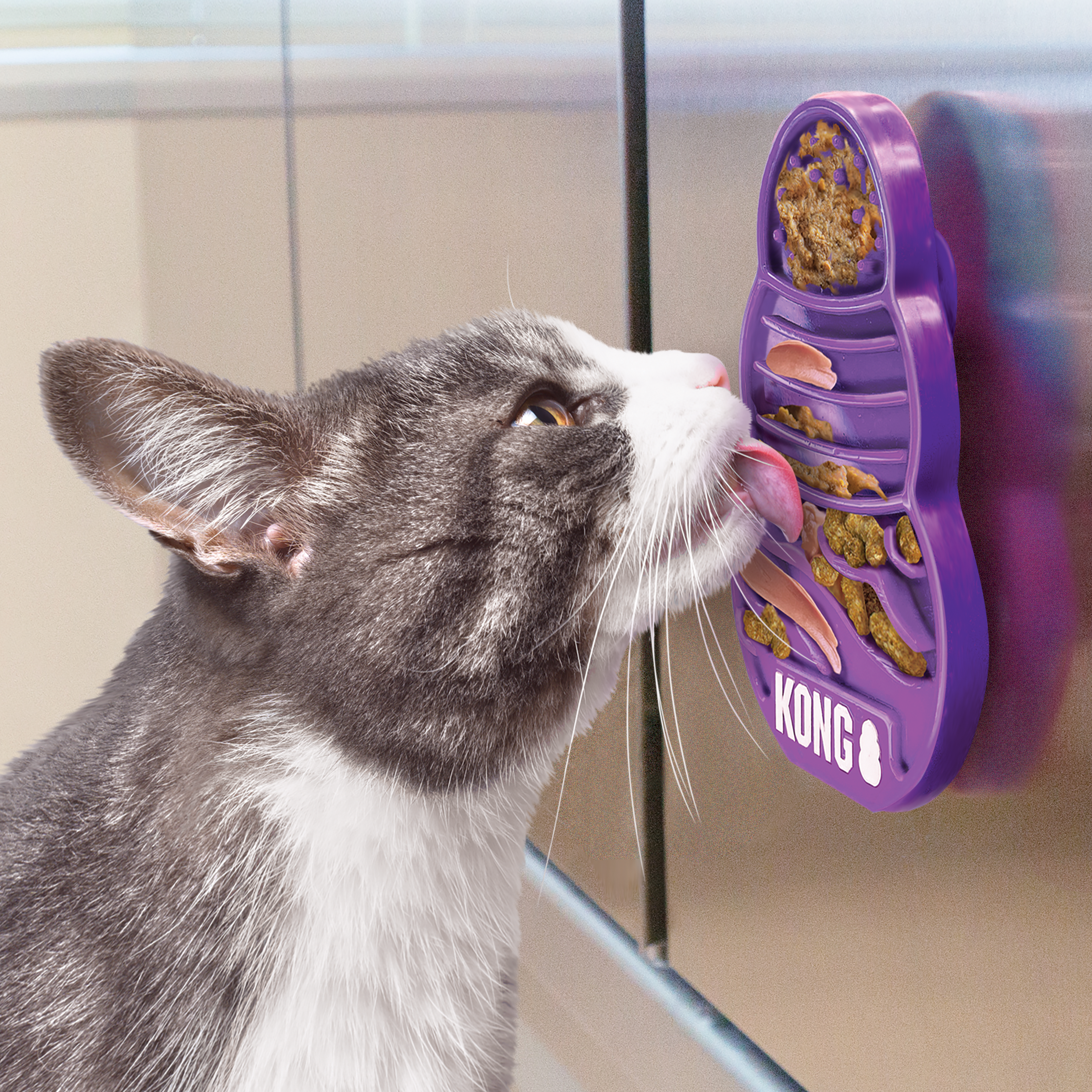 Cat using the KONG Cat Toys Licks Kitty Mat