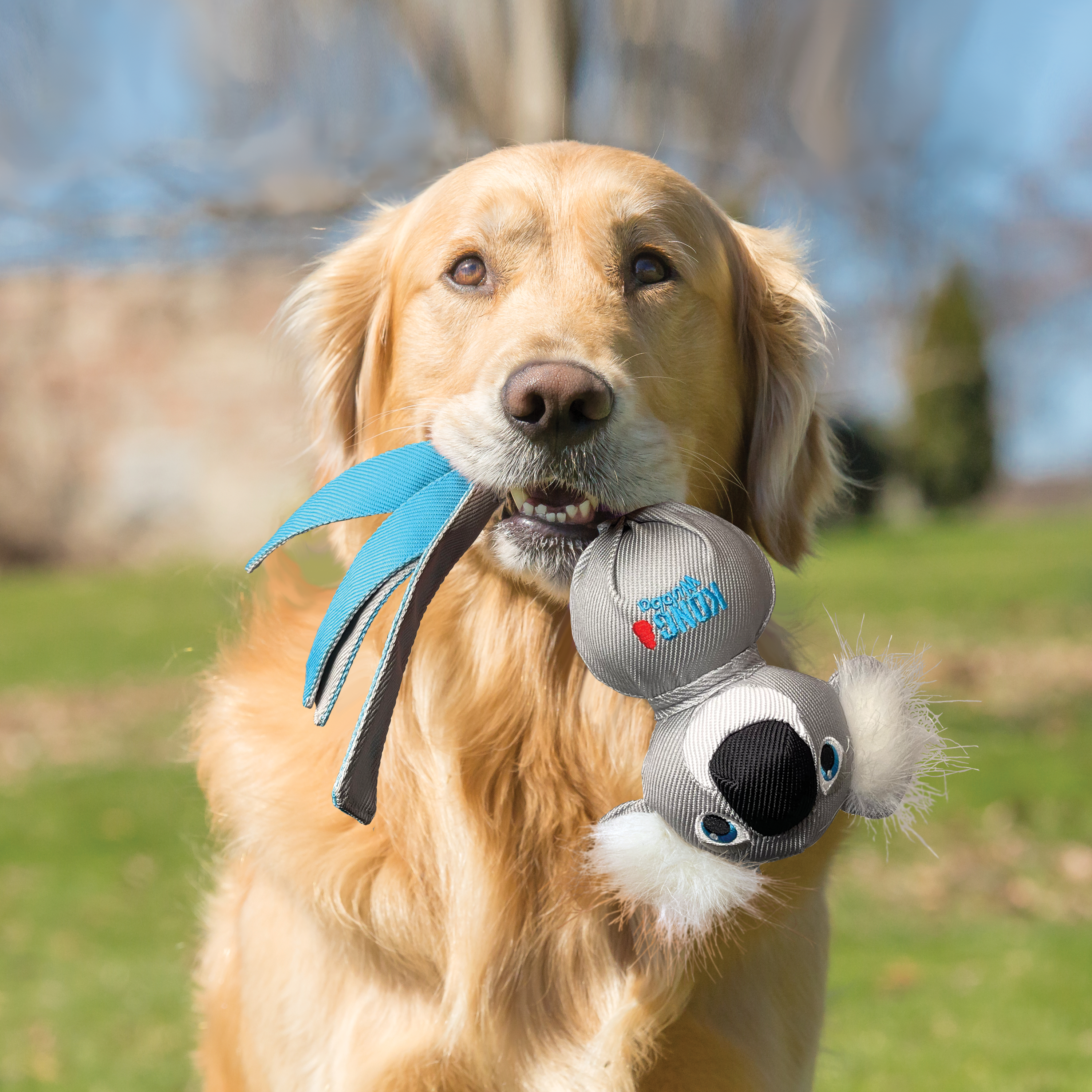 Dog using the KONG Dog Toys Wubba Zoo Koala