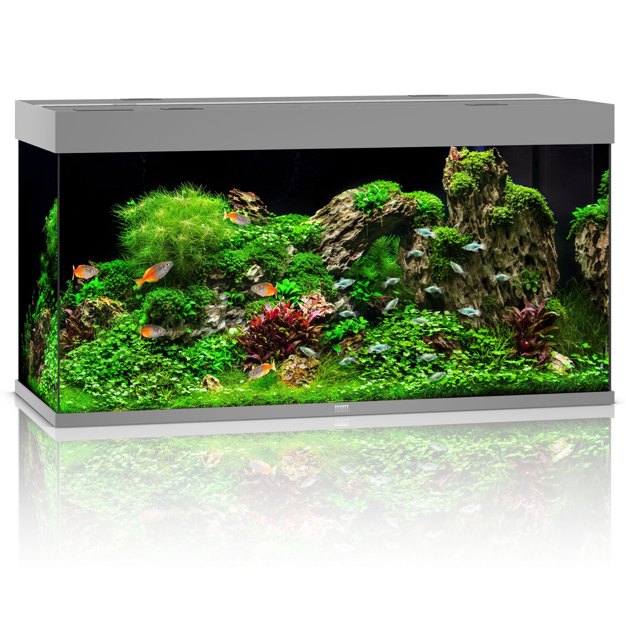 Juwel RIO LED Aquarium 350L