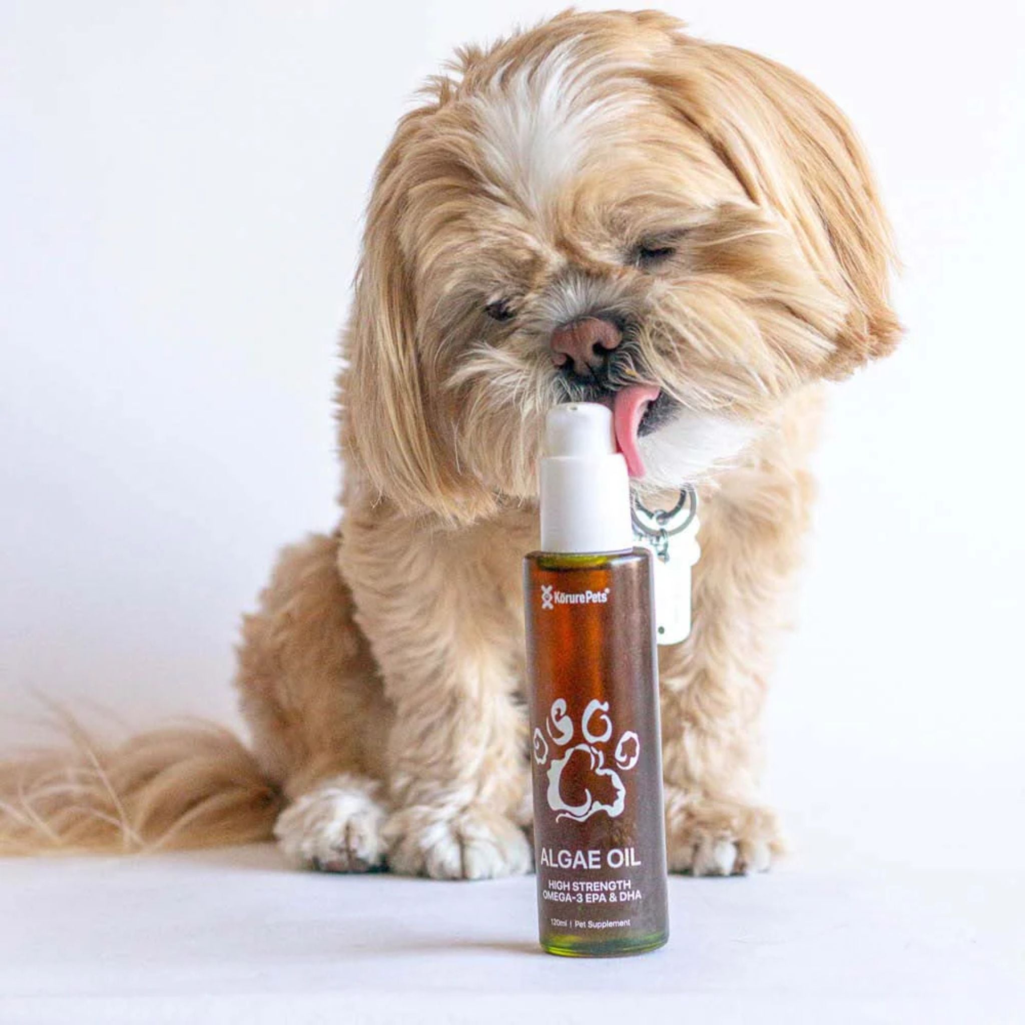 Korure Pets Algae Oil for Dogs