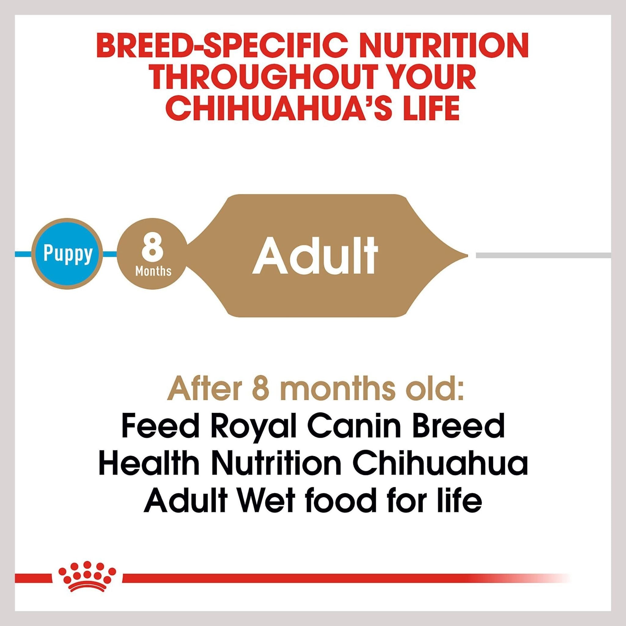Royal Canin Chihuahua Wet Dog Food