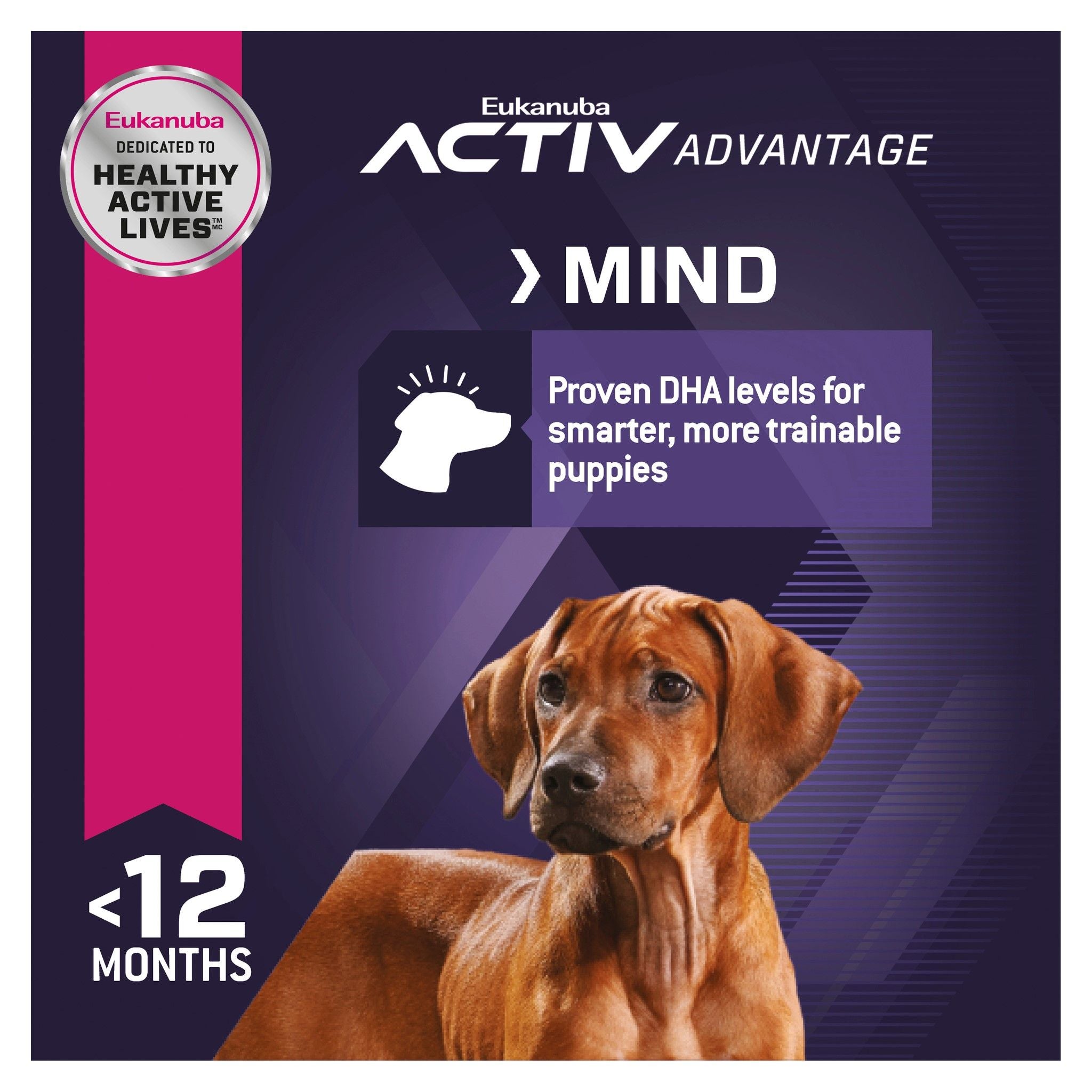 Eukanuba Dry Dog Food Puppy Large Breed