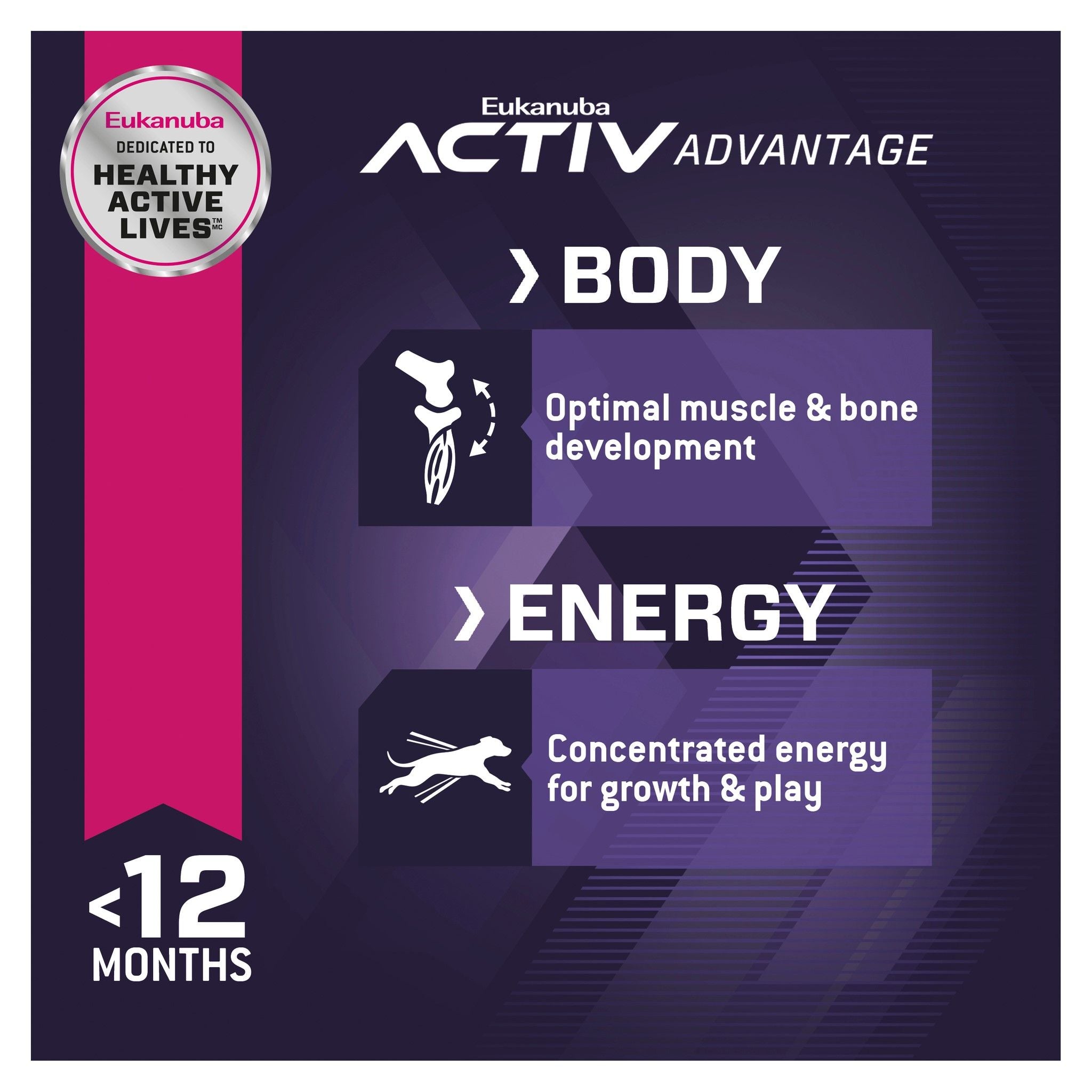 Eukanuba Dry Dog Food Puppy Large Breed