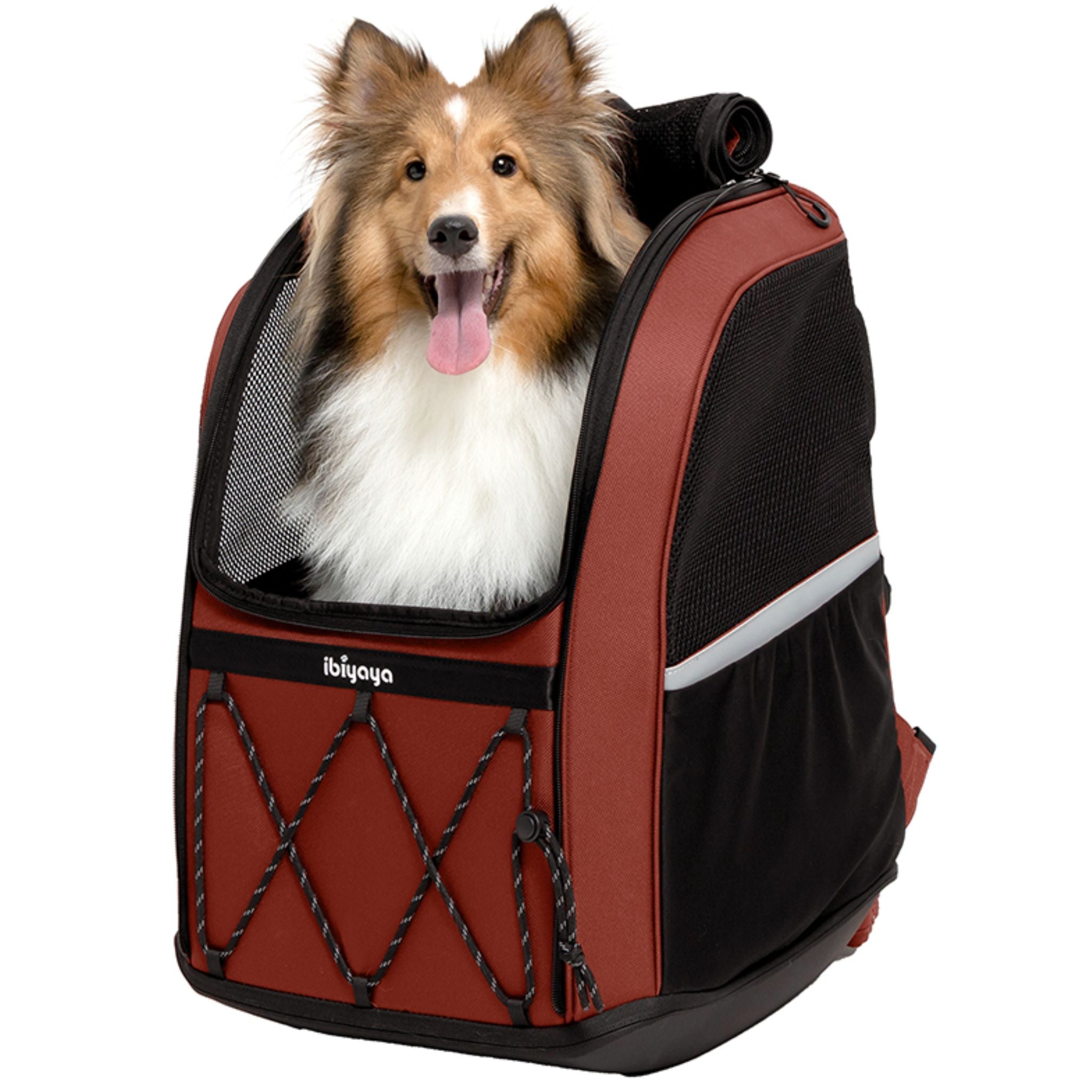 Ibiyaya Champion 3-in-1 Travel Backpack Carrier for Large Dogs
