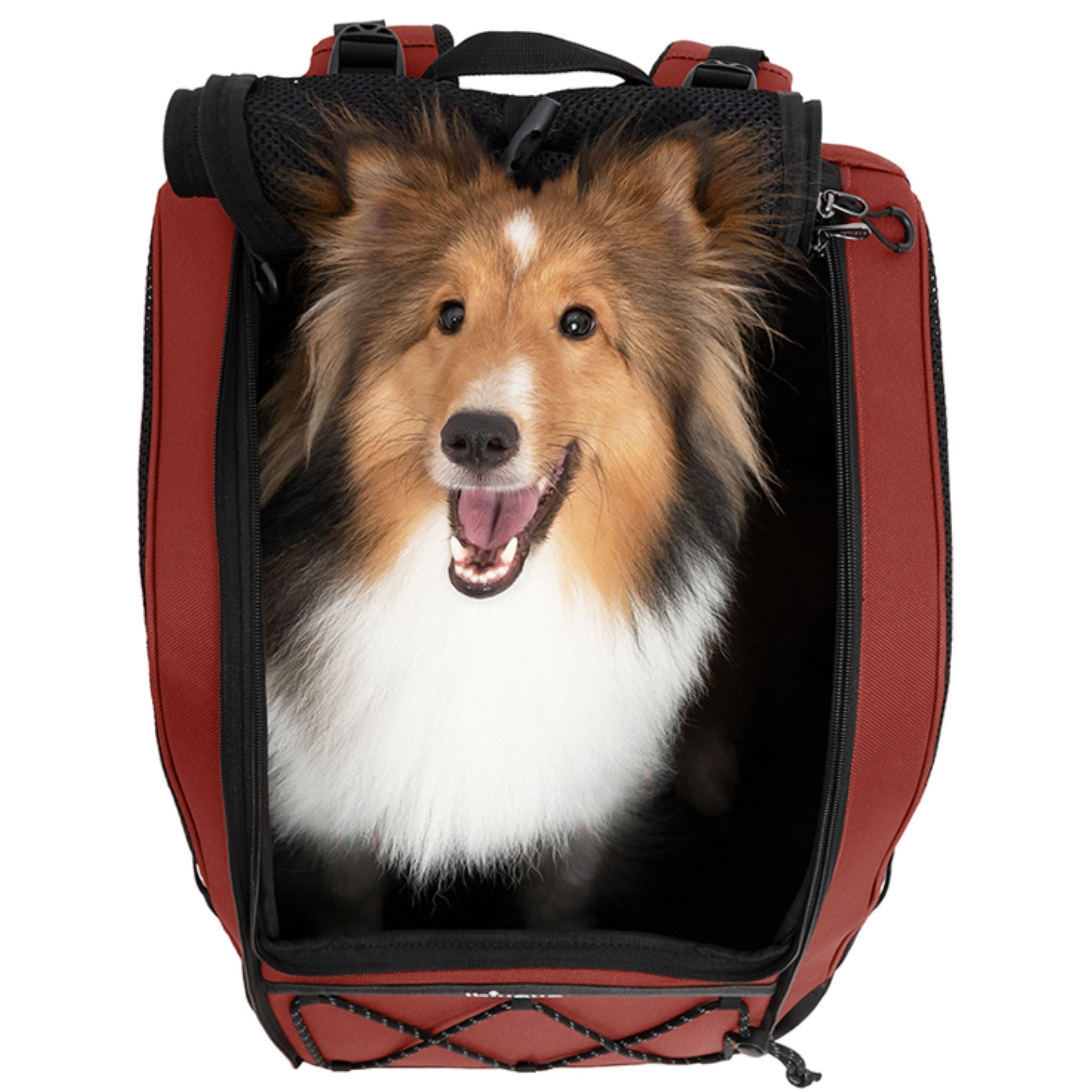 Ibiyaya Champion 3-in-1 Travel Backpack Carrier for Large Dogs