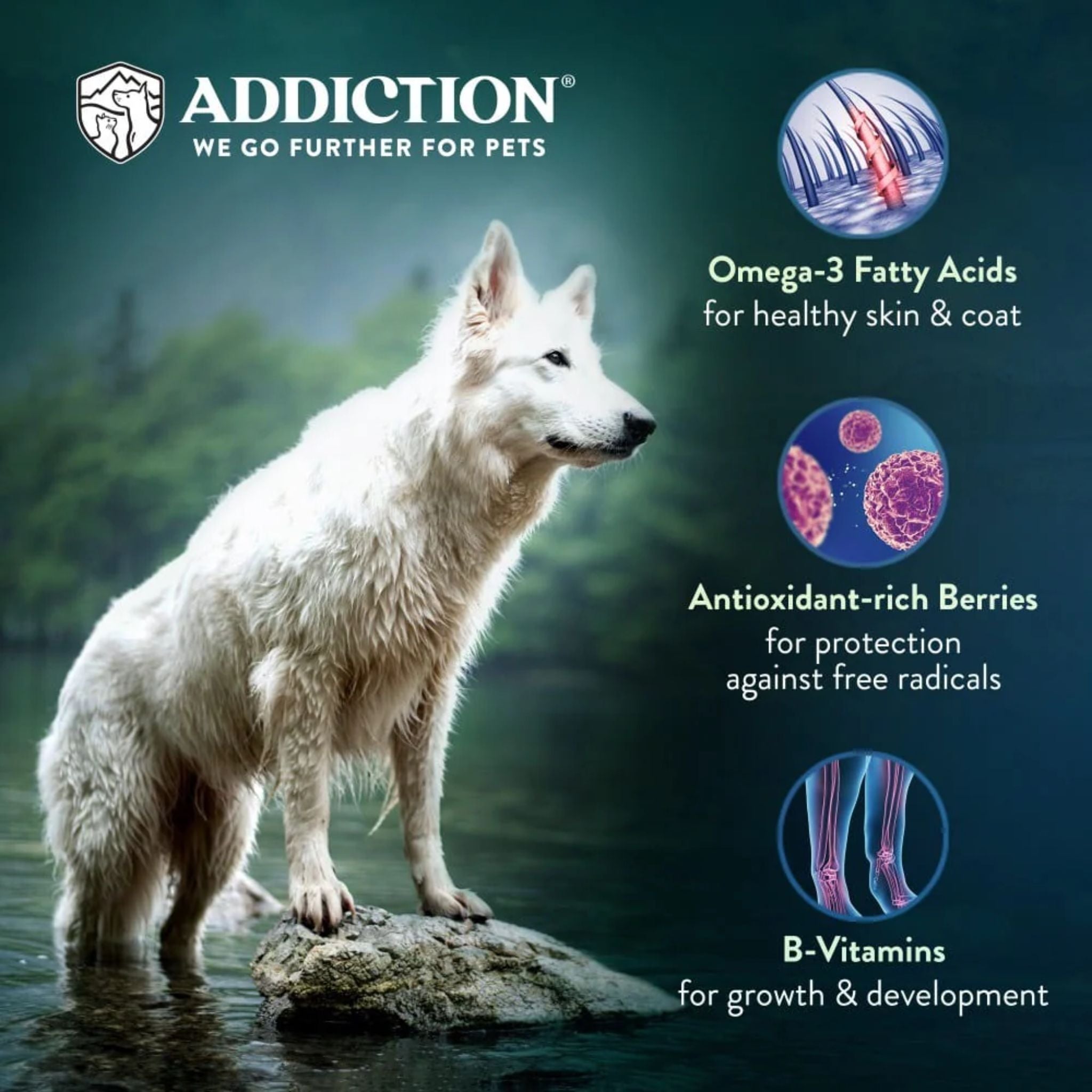ADDICTION Salmon Bleu Dry Dog Food