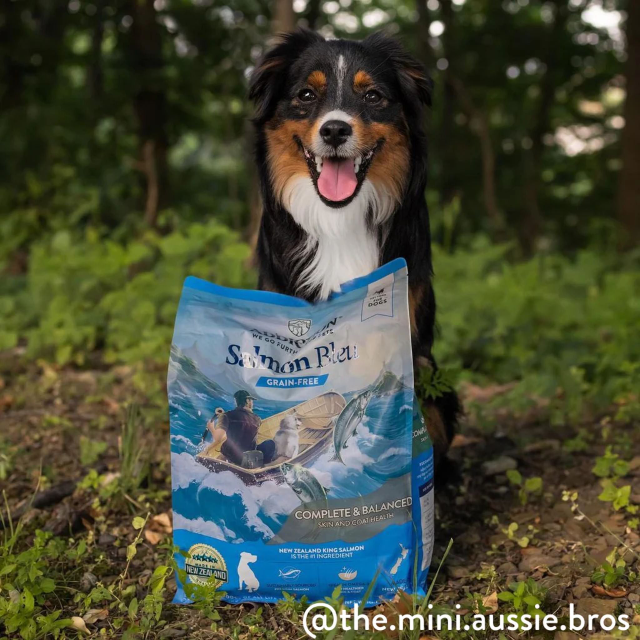 ADDICTION Salmon Bleu Dry Dog Food