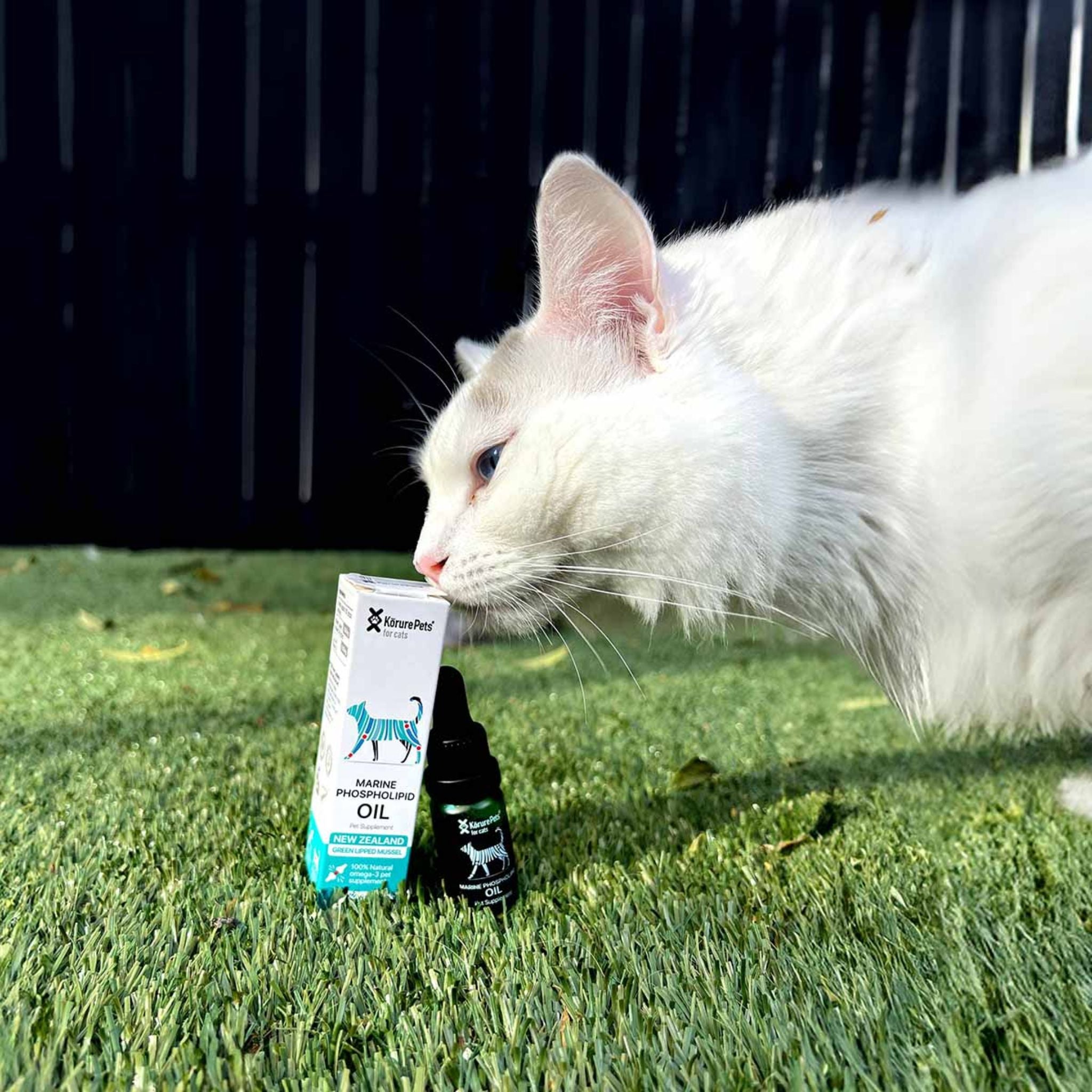 Korure Pets Marine Phospholipid Oil for Cats