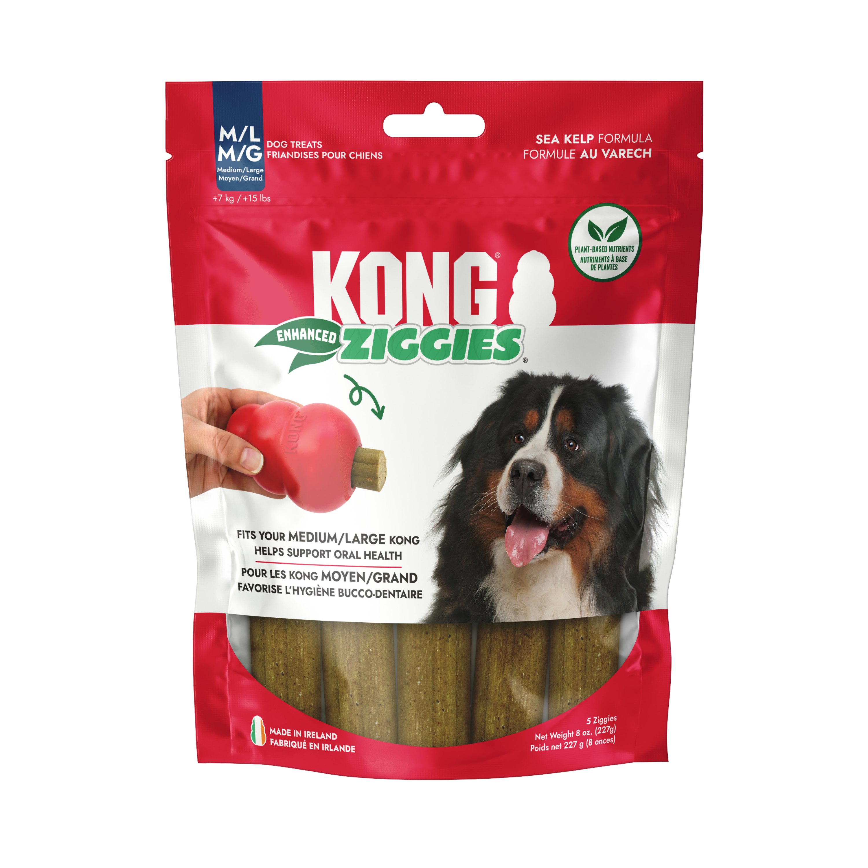 KONG Dog Treats Ziggies Enhanced shown in its retail packaging, alternate angle