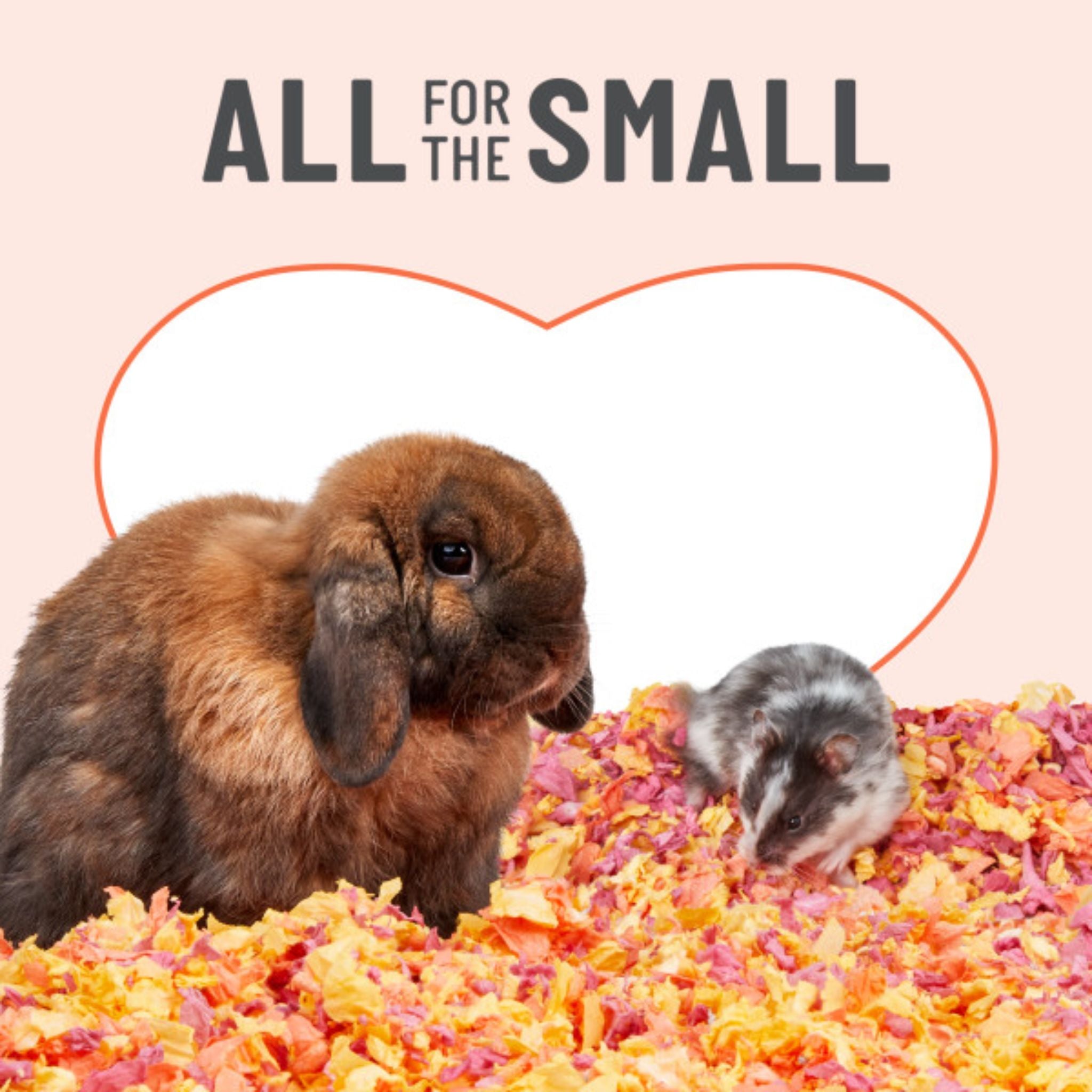 Kaytee Clean & Cozy Colors Sunset Bedding