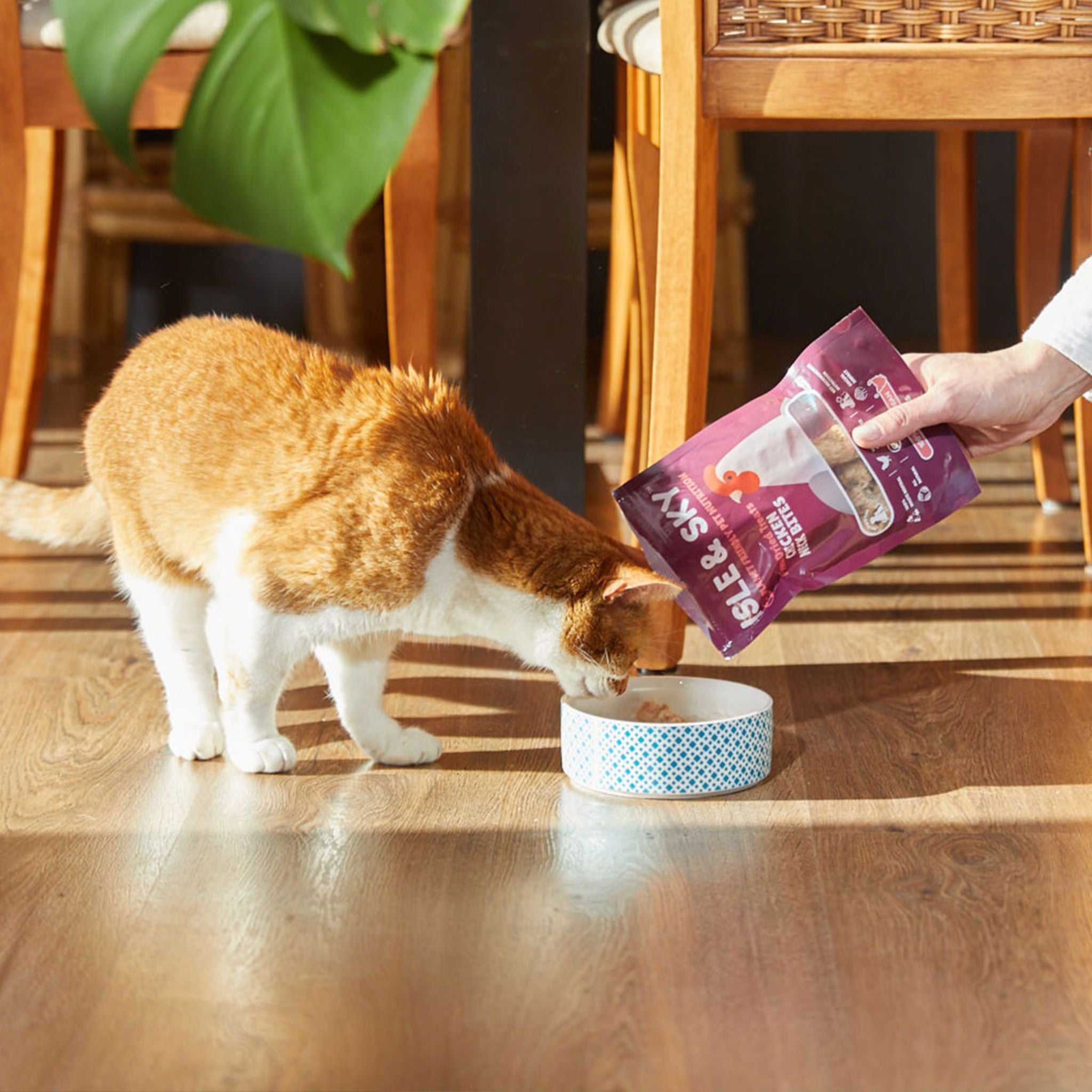 Isle and Sky Freeze Dried Pet Treats Chicken Neck Bites