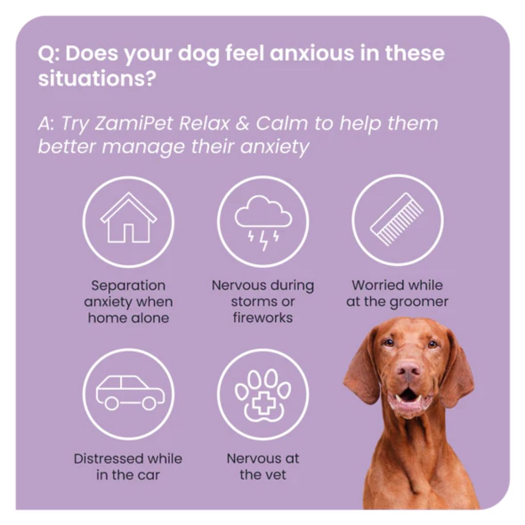 Zamipet Relax & Calm For Dogs