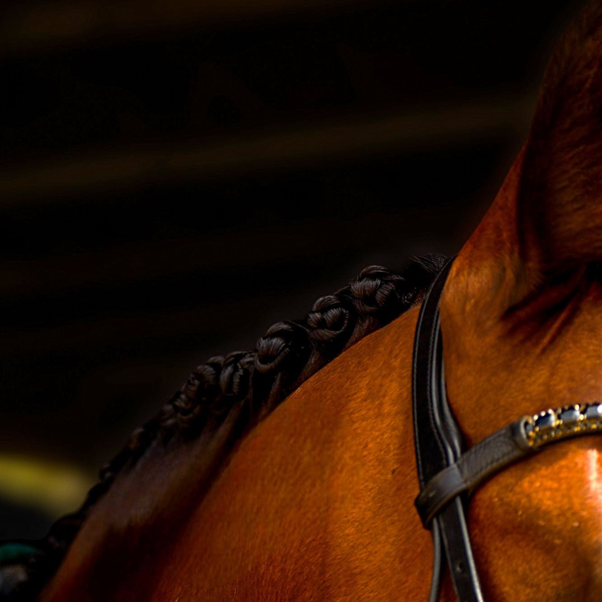 Equinade Supreme Styling Cream