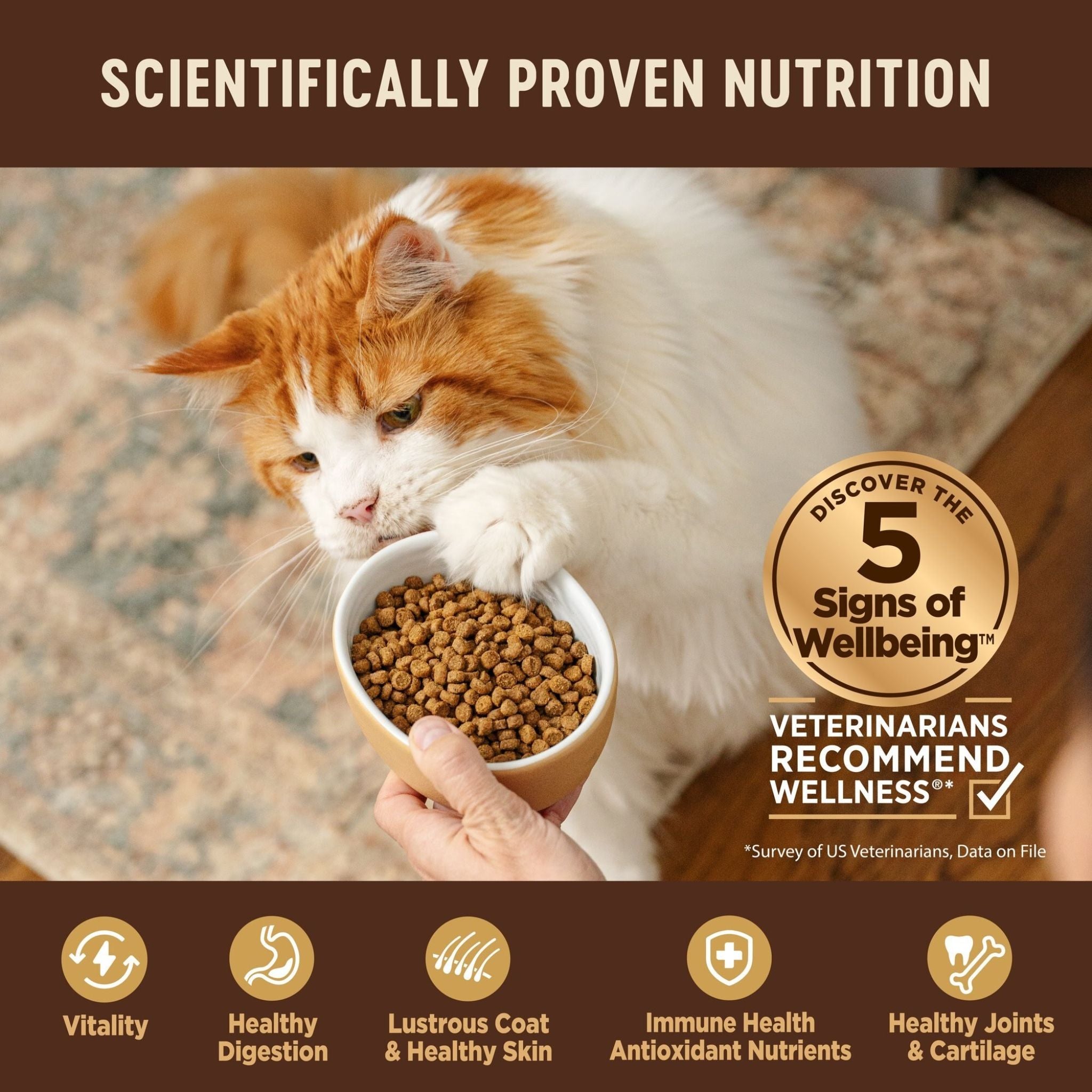 Wellness Core Dry Cat Food Grain Free Original: Chicken & Turkey