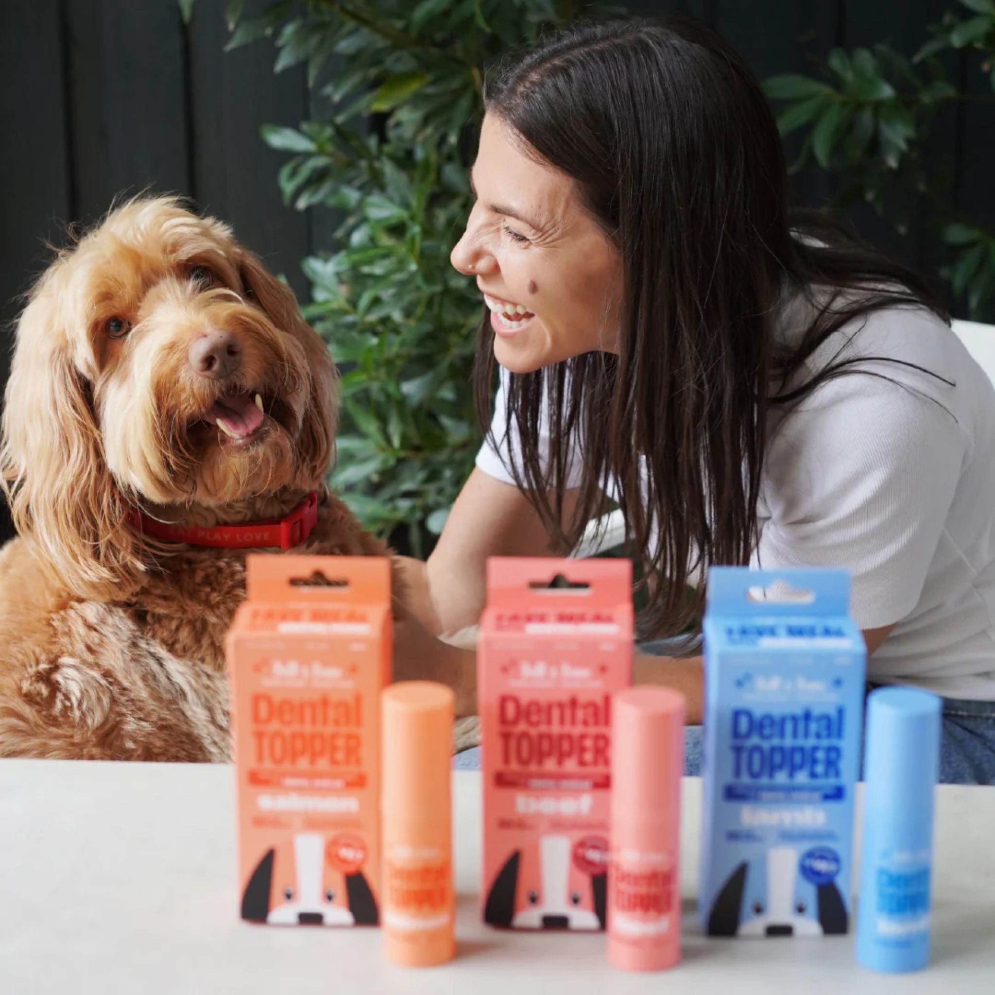 Bell and Bone Dog Dental Topper - Salmon