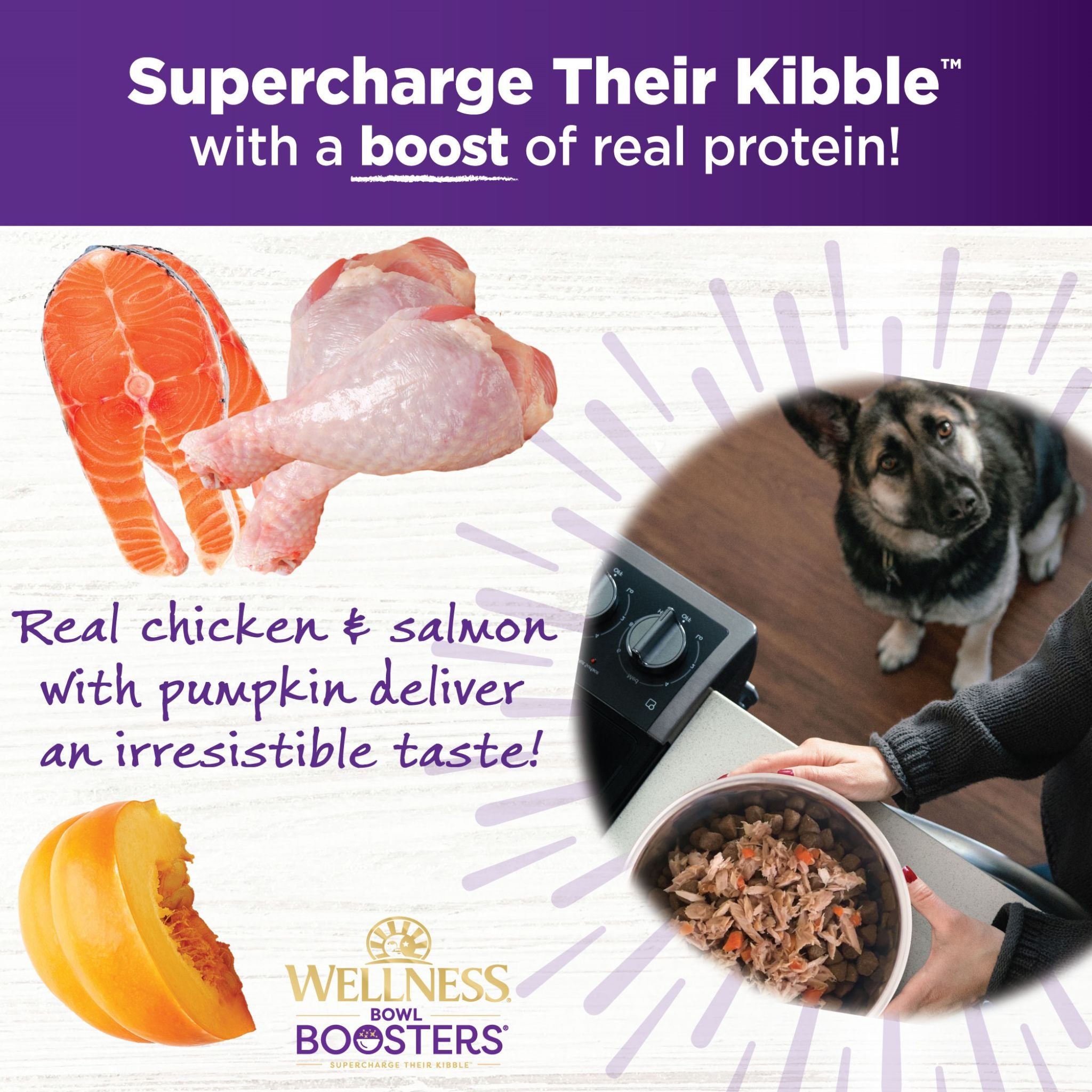 Wellness Core Wet Dog Food Simply Shreds Shredded Boneless Chicken, Wild Salmon & Pumpkin