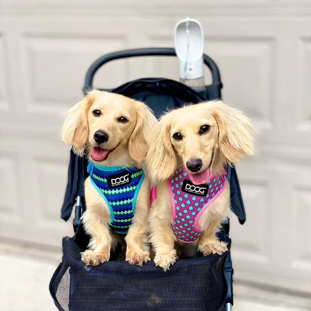 Doog Neoflex Soft Dog Harness - Luna | PeekAPaw Pet Supplies