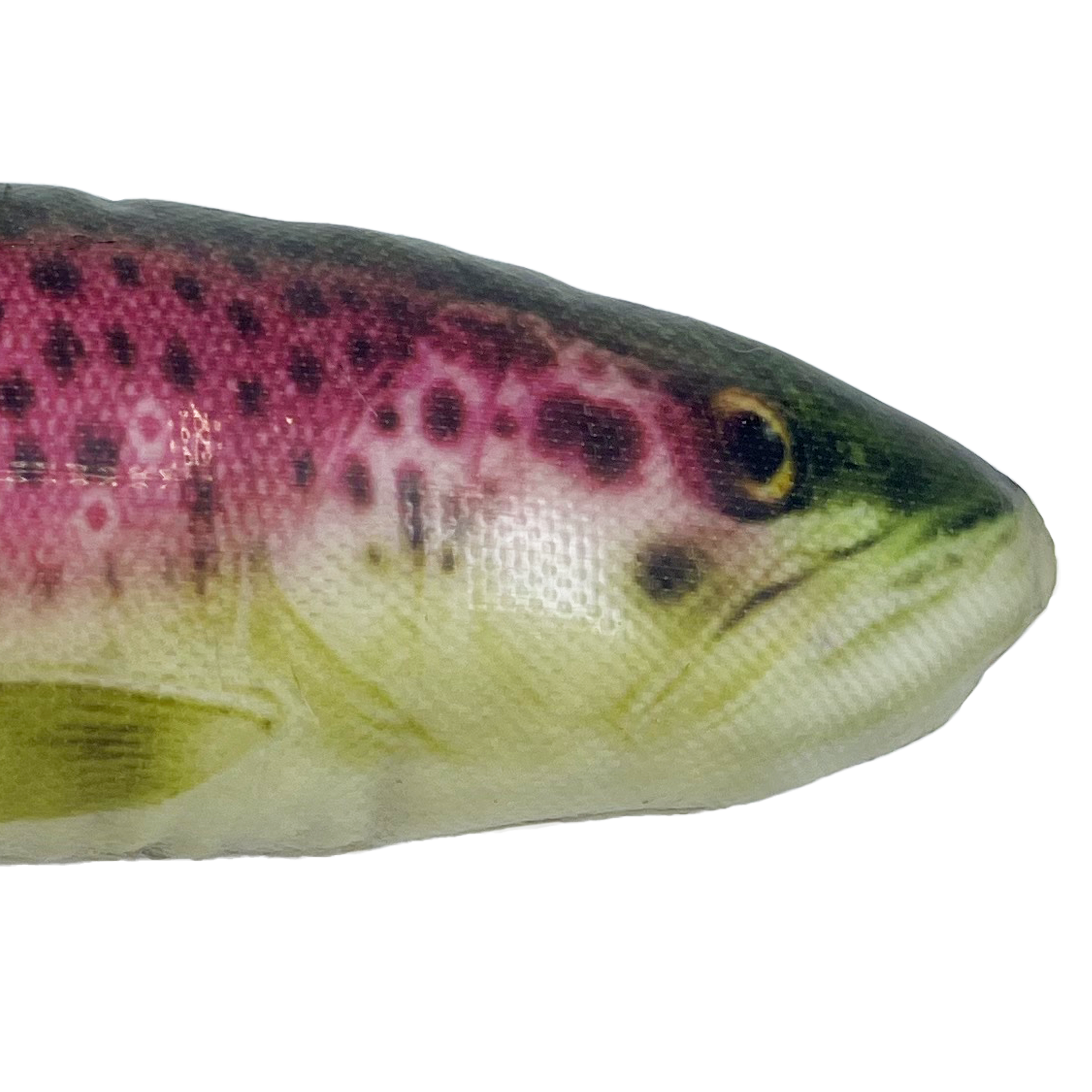 KONG Dog Toys Wild Shieldz Trout product shot on a white background