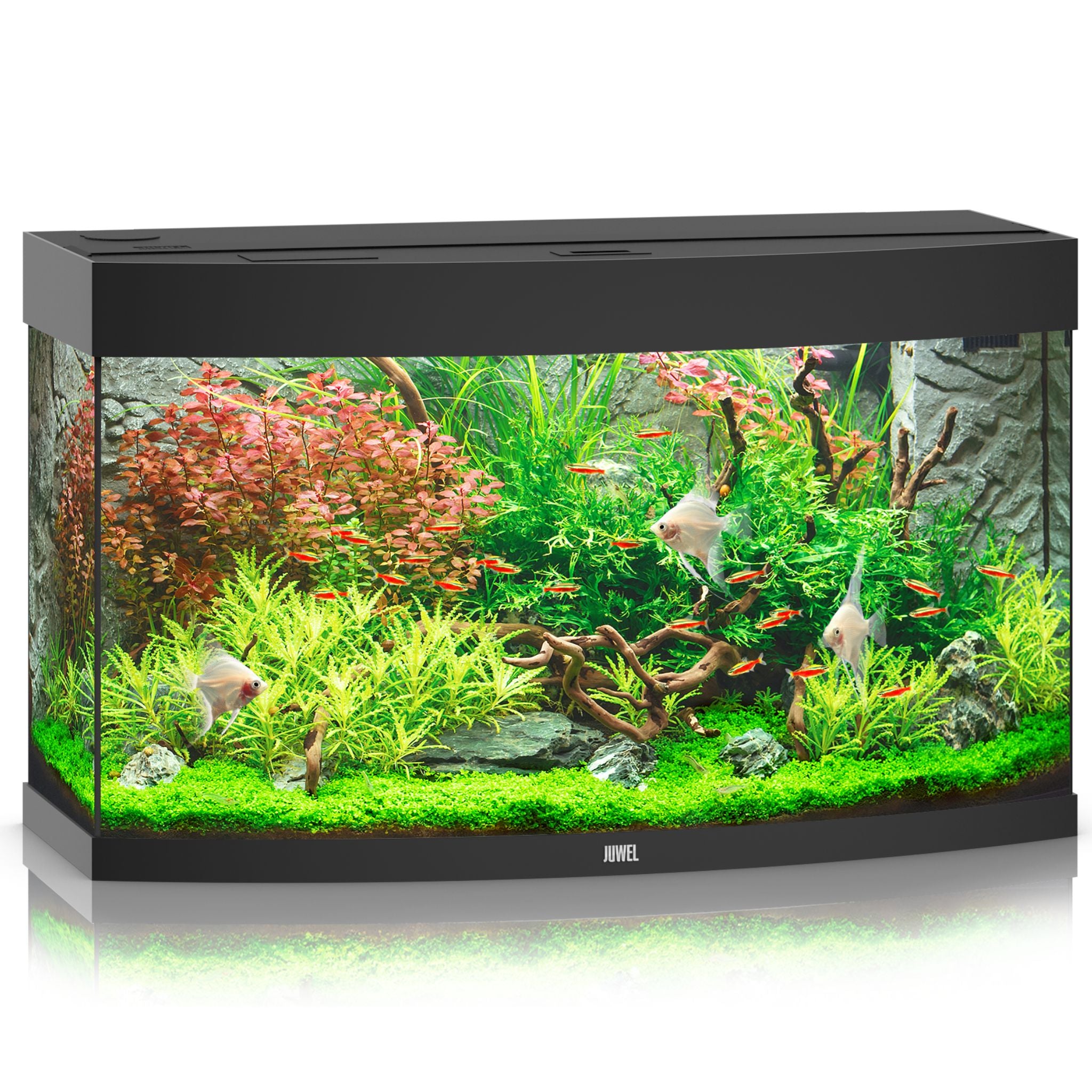 Juwel Vision LED Aquarium 260L