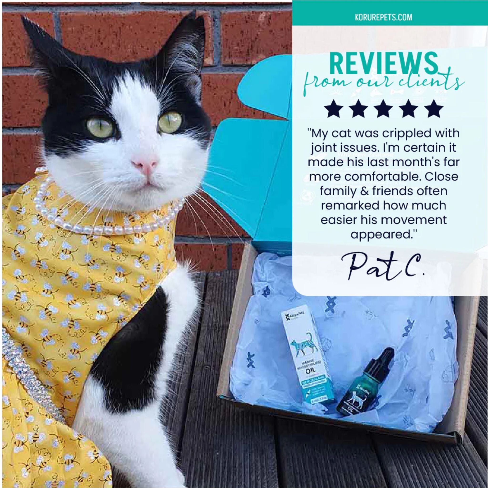 Korure Pets Marine Phospholipid Oil for Cats