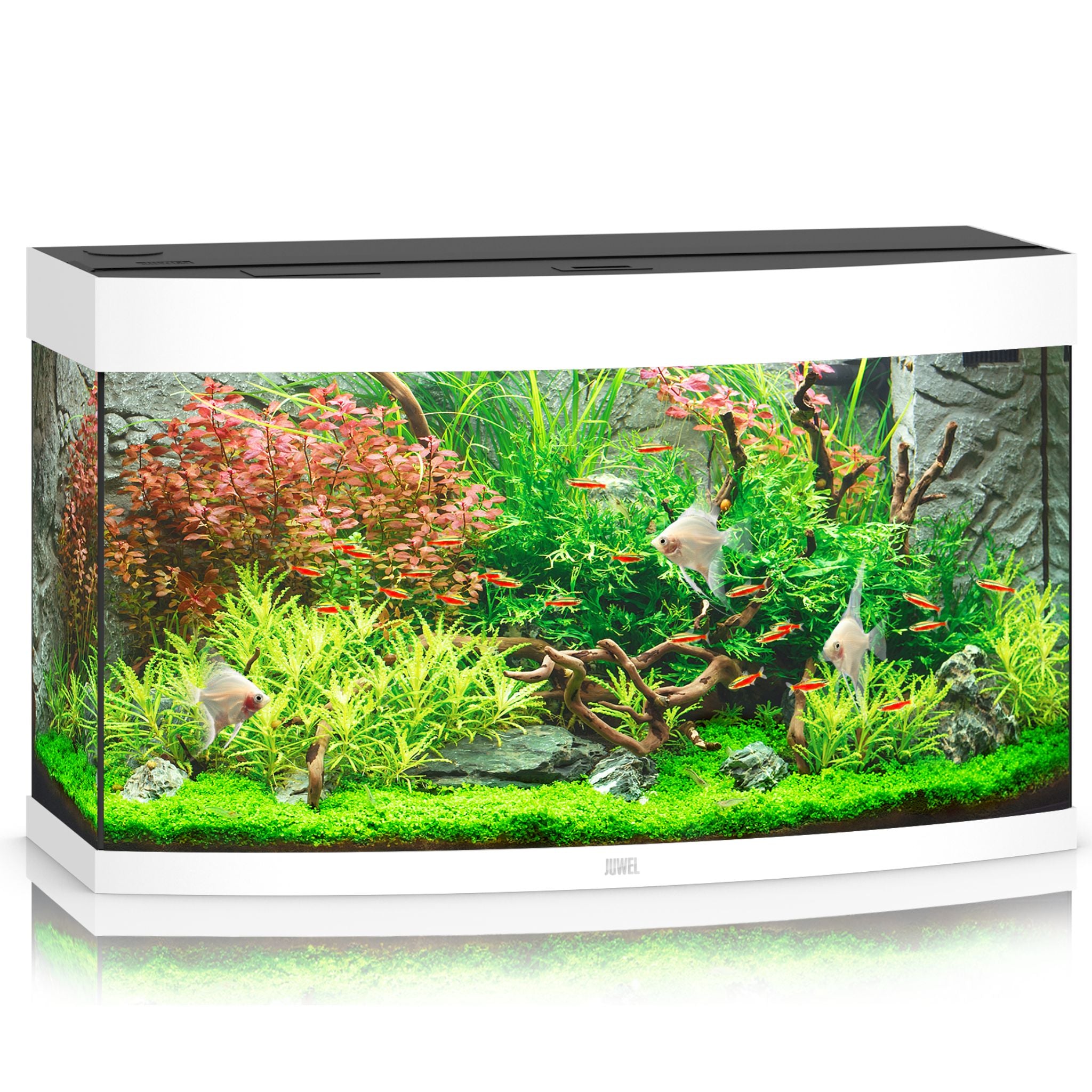 Juwel Vision LED Aquarium 260L