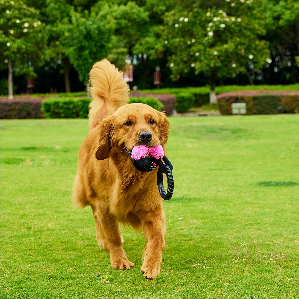 LUUKSUP Tug Dog Toy - Donut