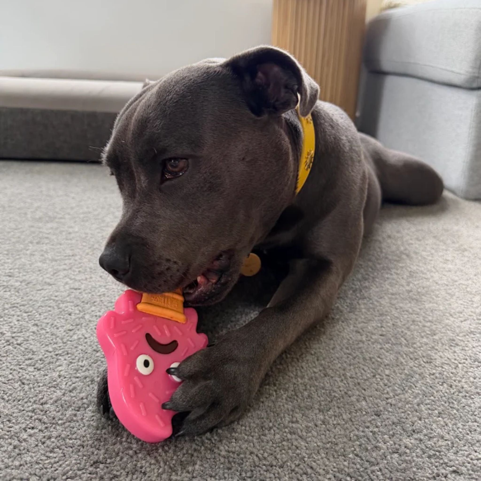 Happy Staffy Co Powerflex Beach Trip Dog Toy