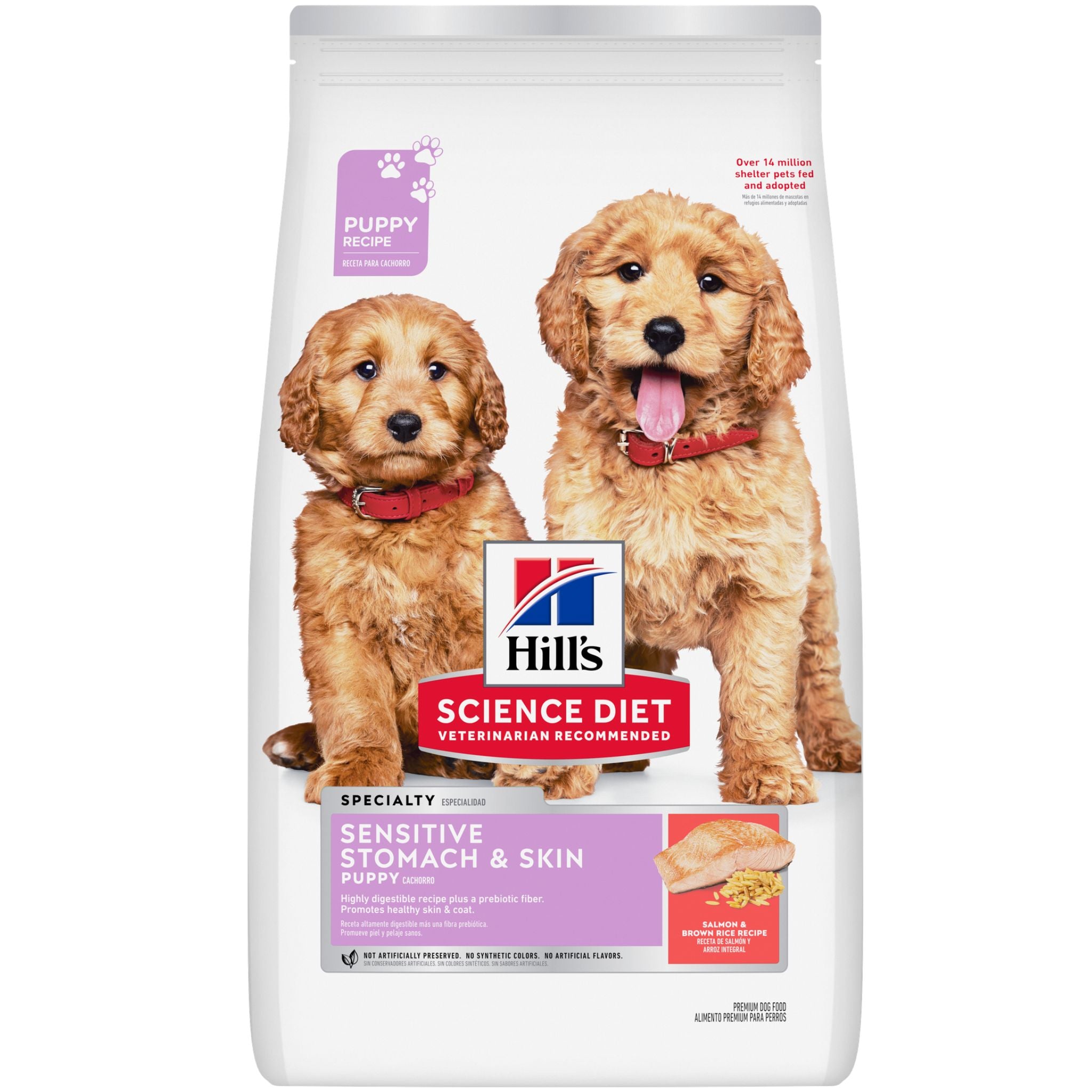 Hill's Science Diet Puppy Sensitive Stomach & Skin Salmon & Brown Rice Dry Dog Food
