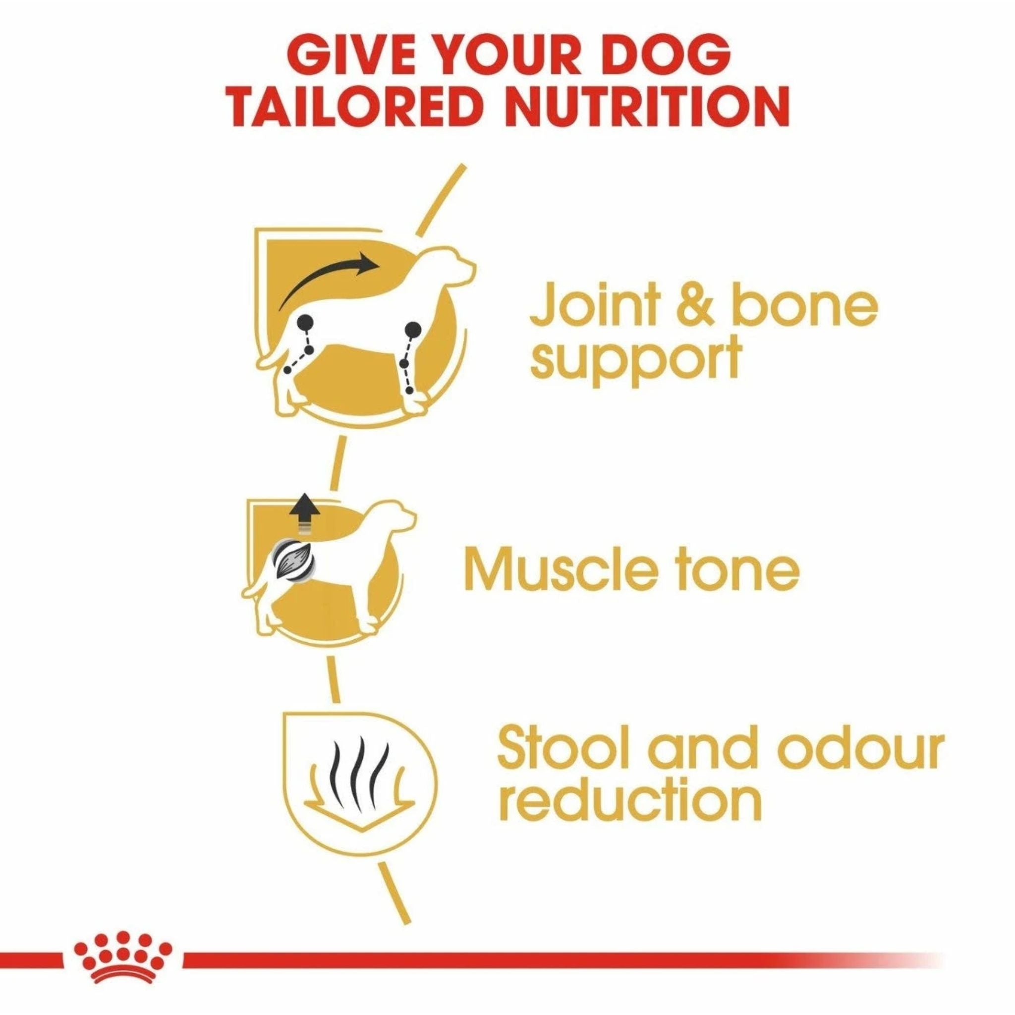 Royal Canin Dachshund