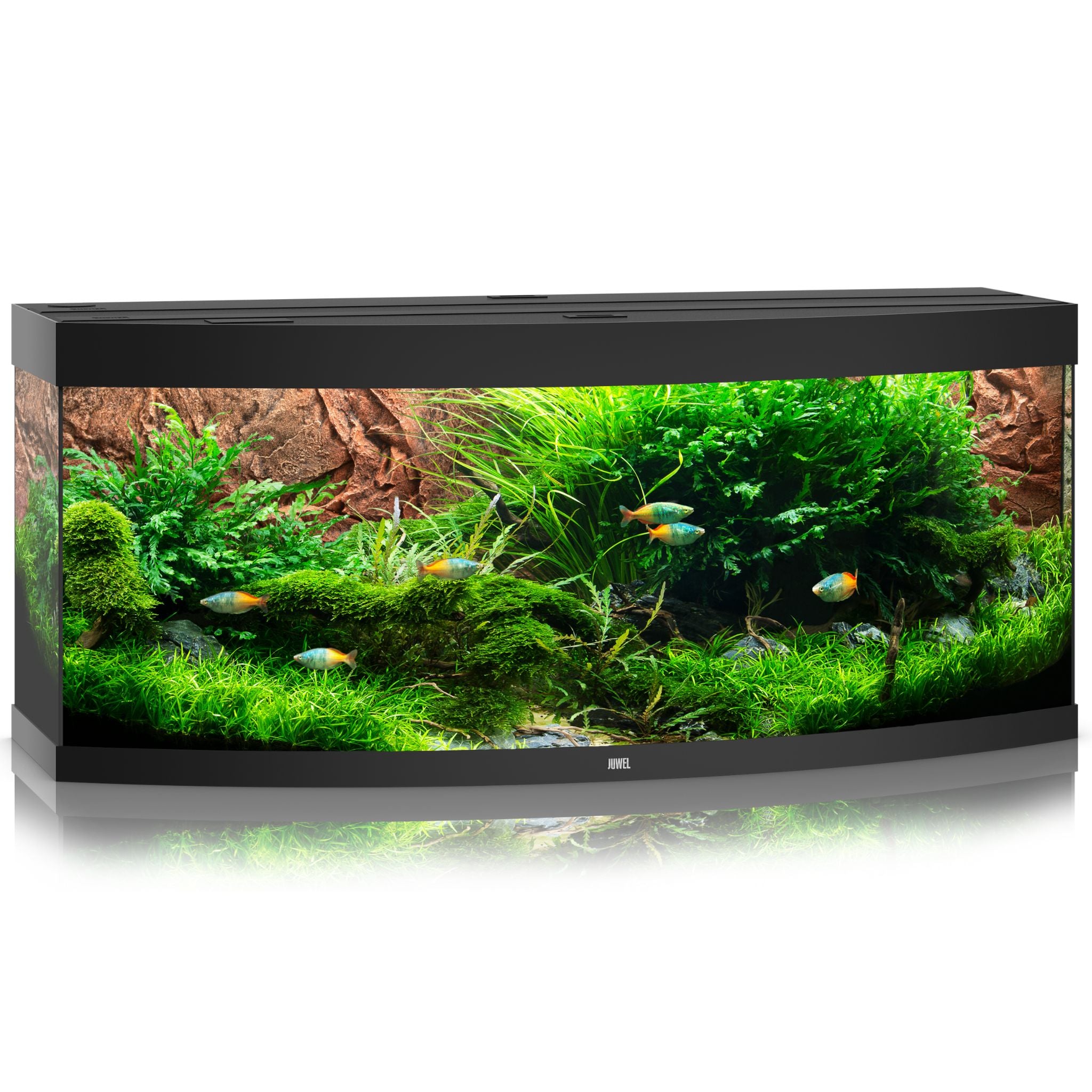 Juwel Vision LED Aquarium 450L