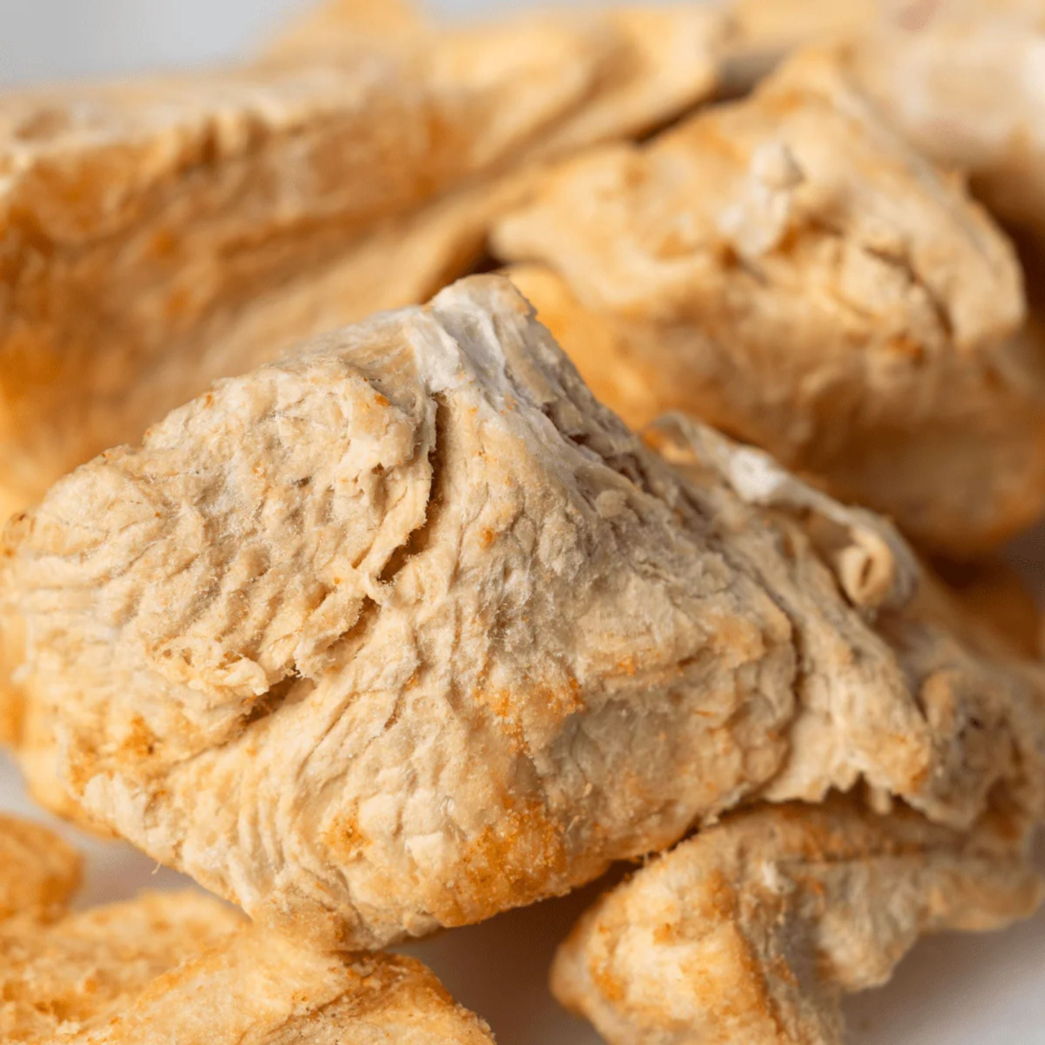 FuReeze Crocodile Freeze Dried Pet Treats