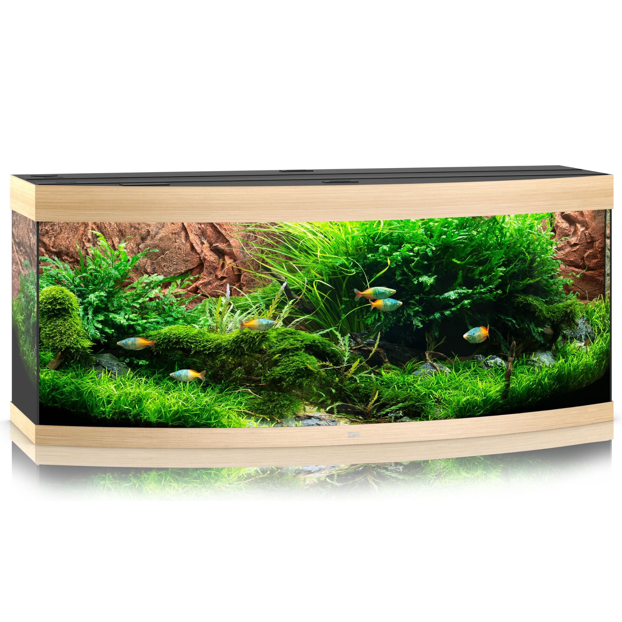 Juwel Vision LED Aquarium 450L