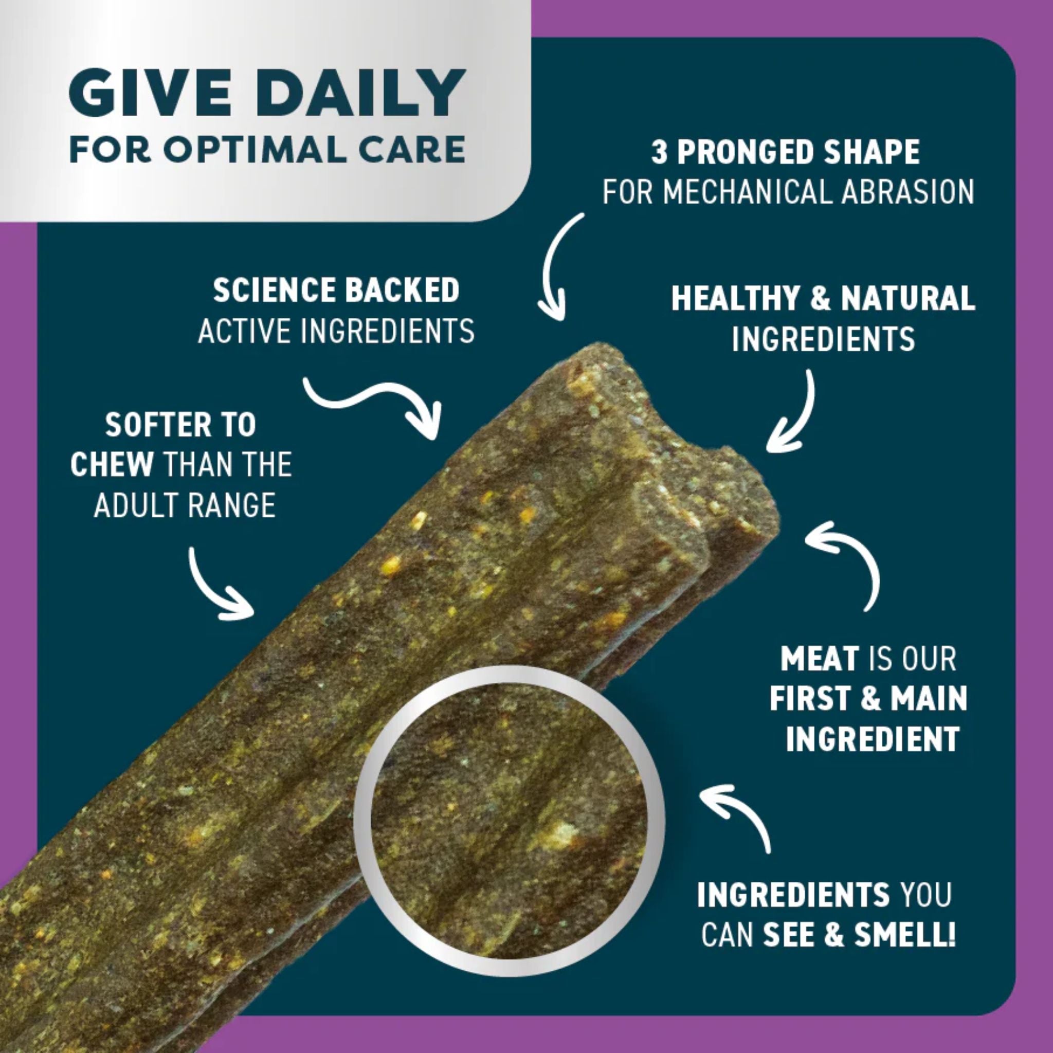 Bell and Bone Dental Sticks for Senior Dogs - Kangaroo, Mint and Rosehip